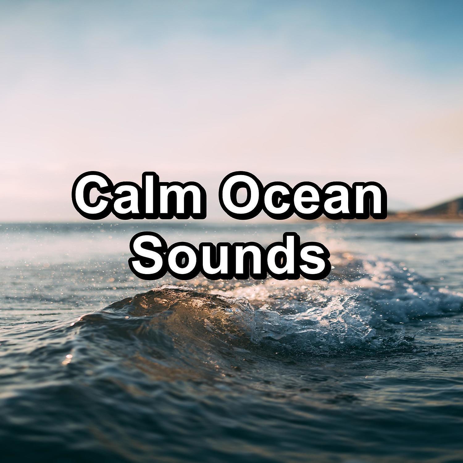 Релиз Calm Ocean Sounds