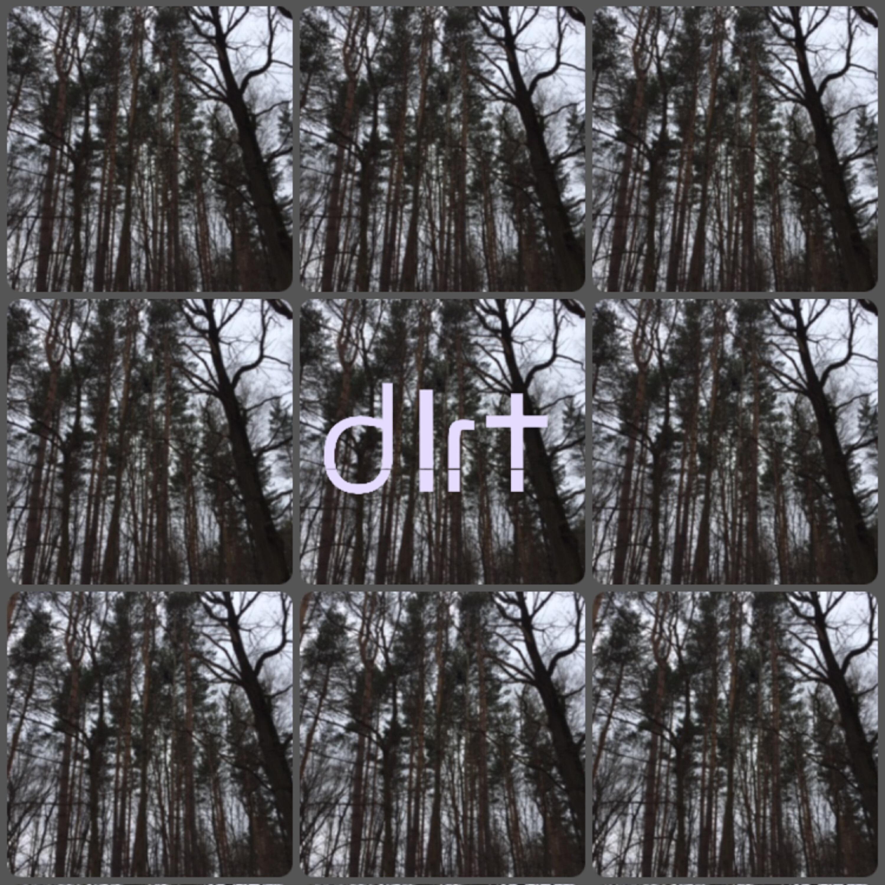 Релиз Dirt