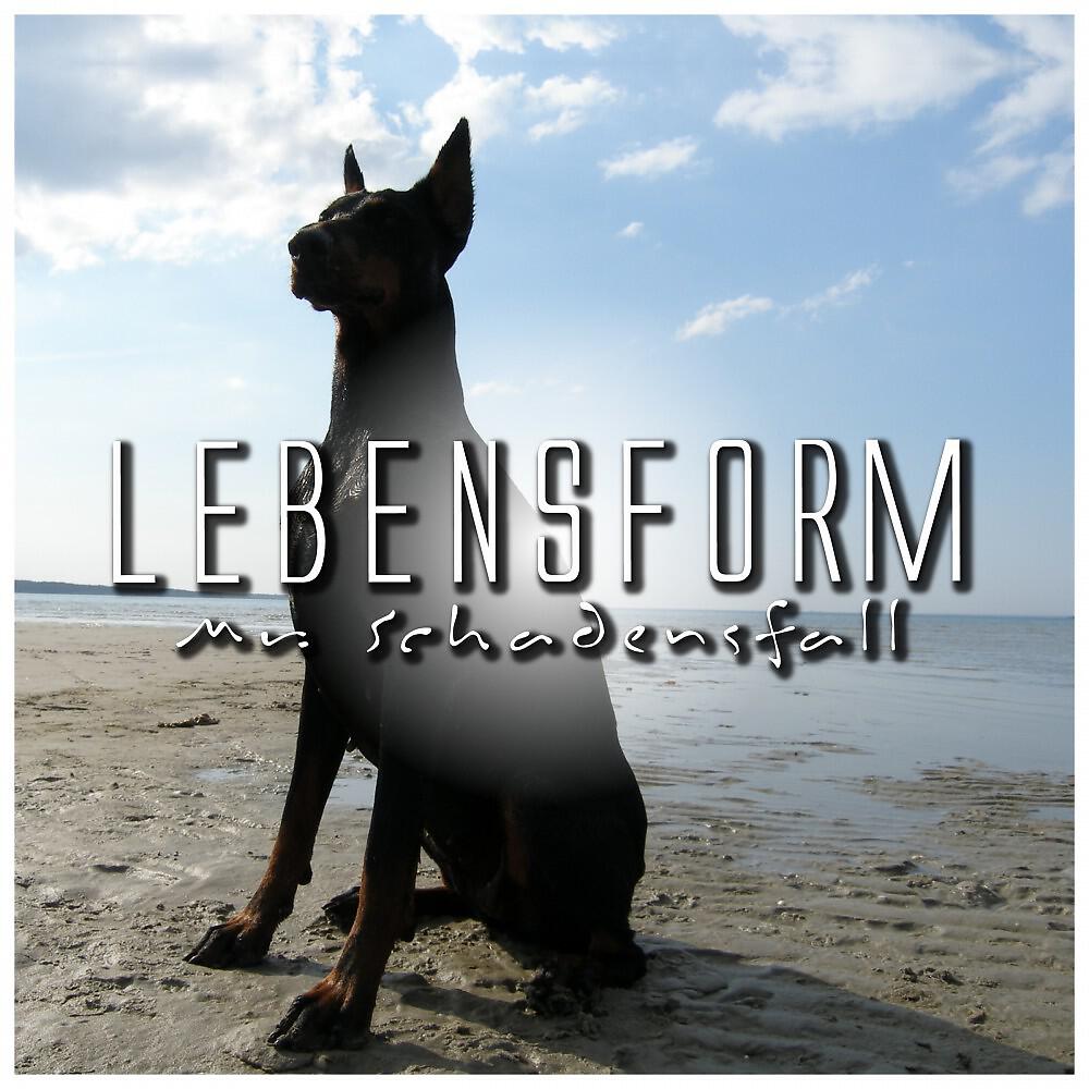 Релиз Lebensform