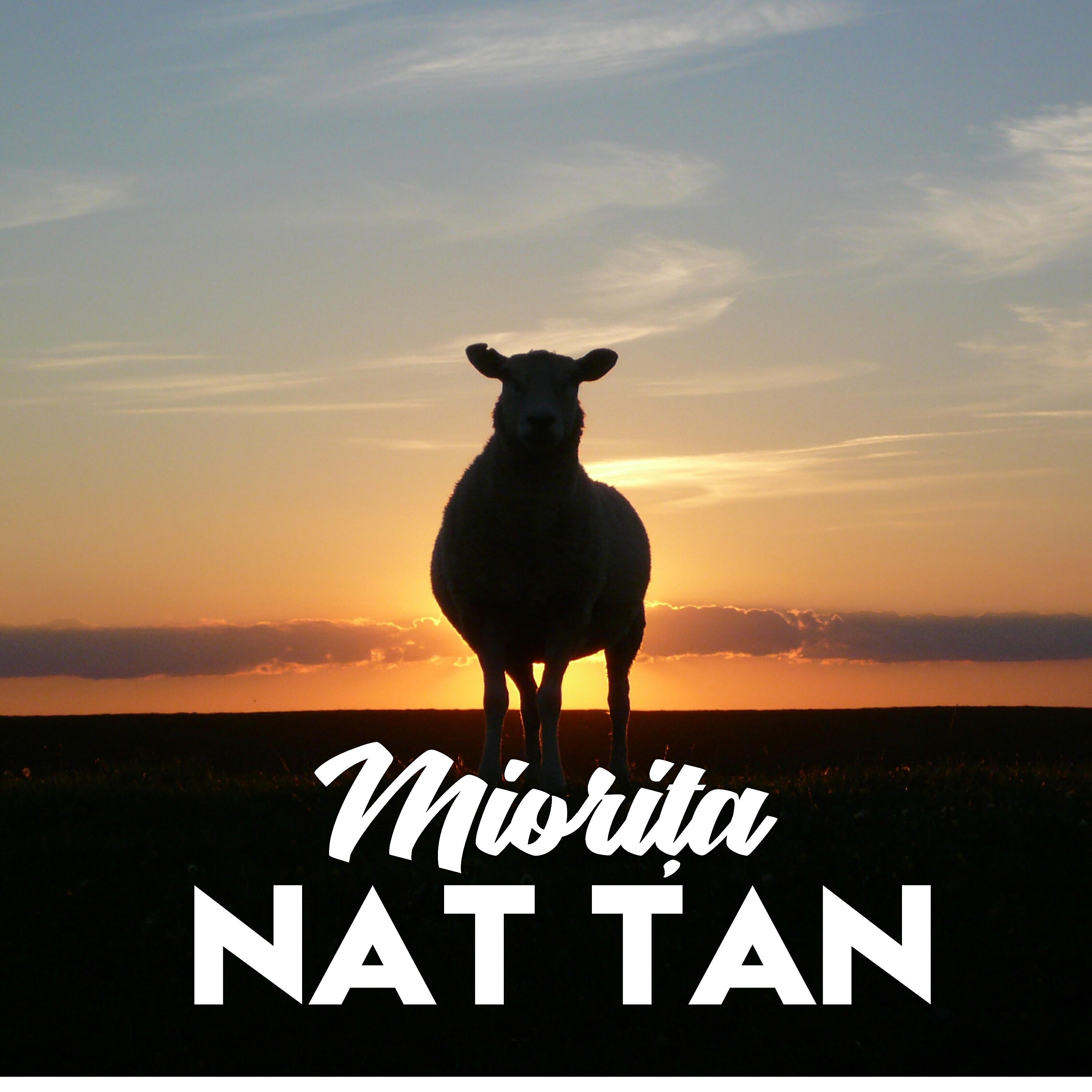 Релиз Miorita