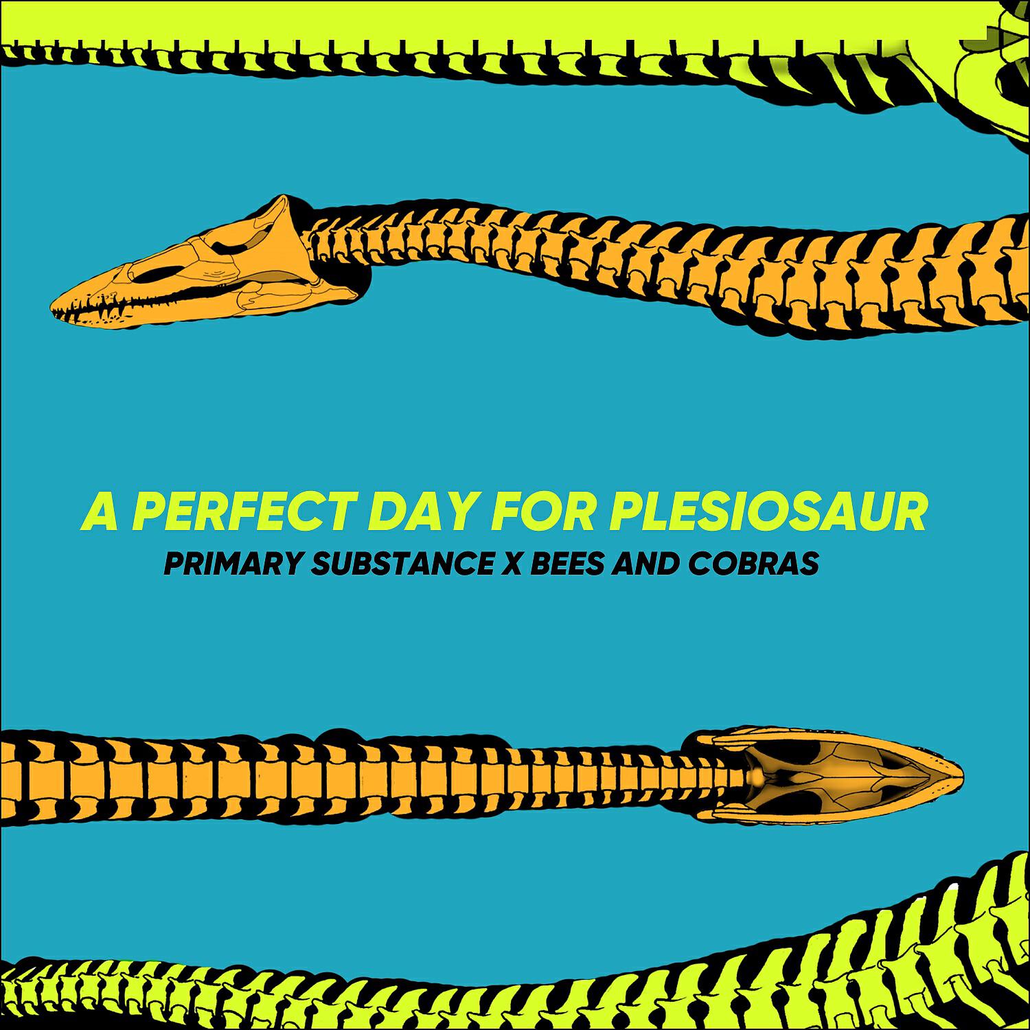 Релиз A Perfect Day for Plesiosaur
