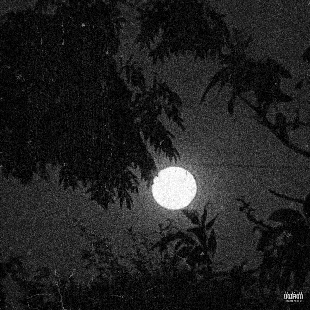 Релиз what i see when i'm walking alone at night