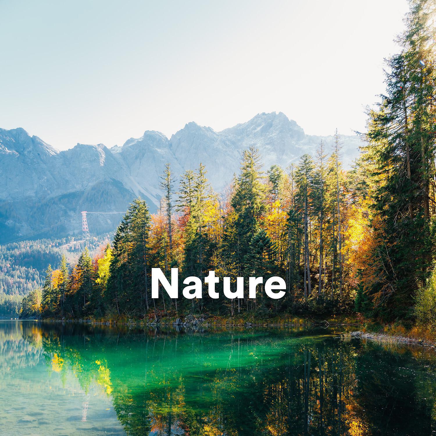 Релиз Nature