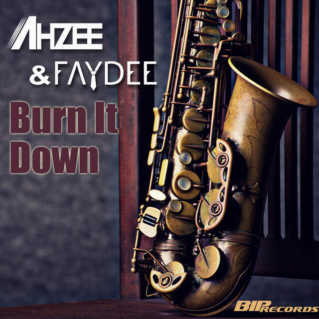 Релиз Burn It Down (Radio Edit)