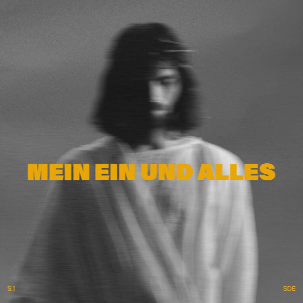 Релиз Mein Ein und Alles (Live)