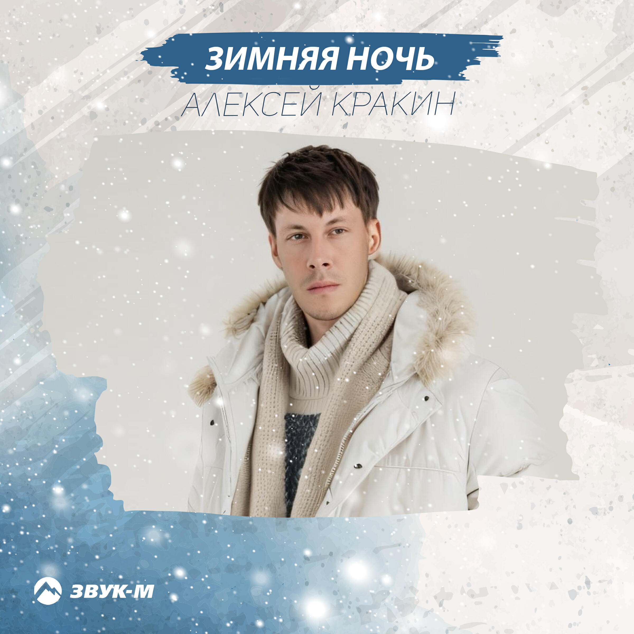 Постер альбома Зимняя ночь