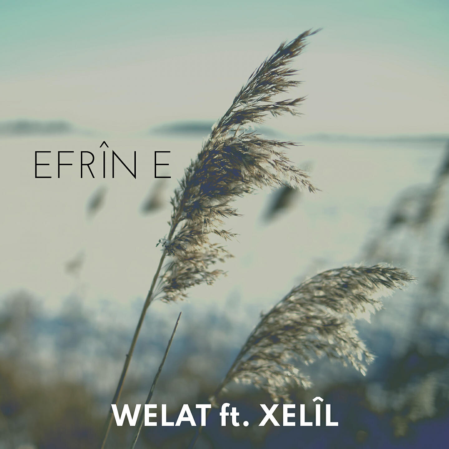 Xelîl