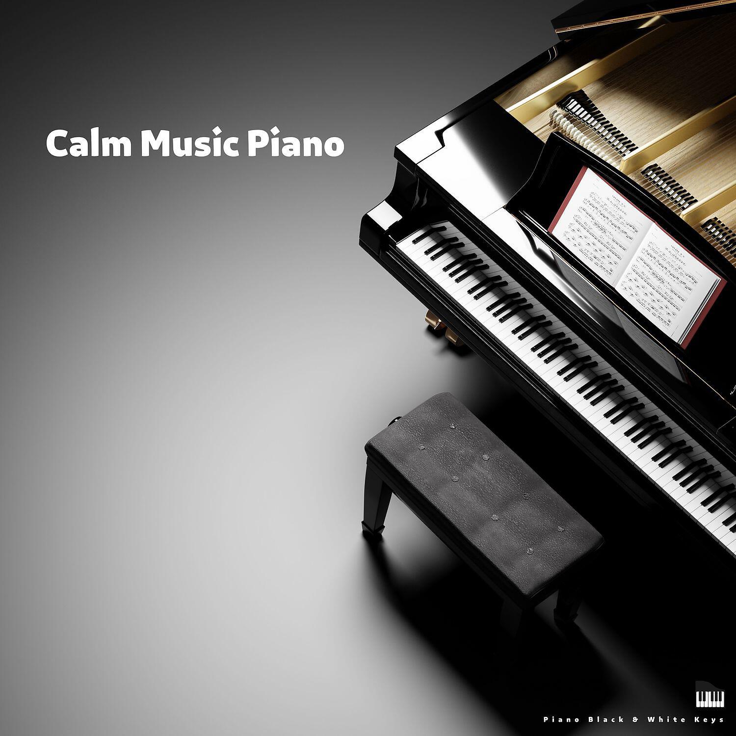 Релиз Calm Music Piano - Soothing, Relaxing, Soft Background Music for Sleep
