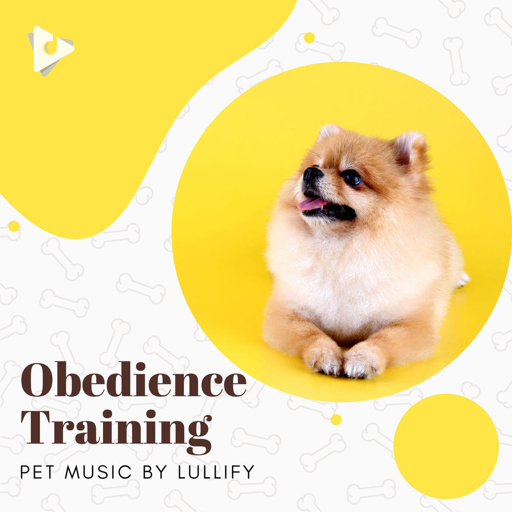 Релиз Obedience Training