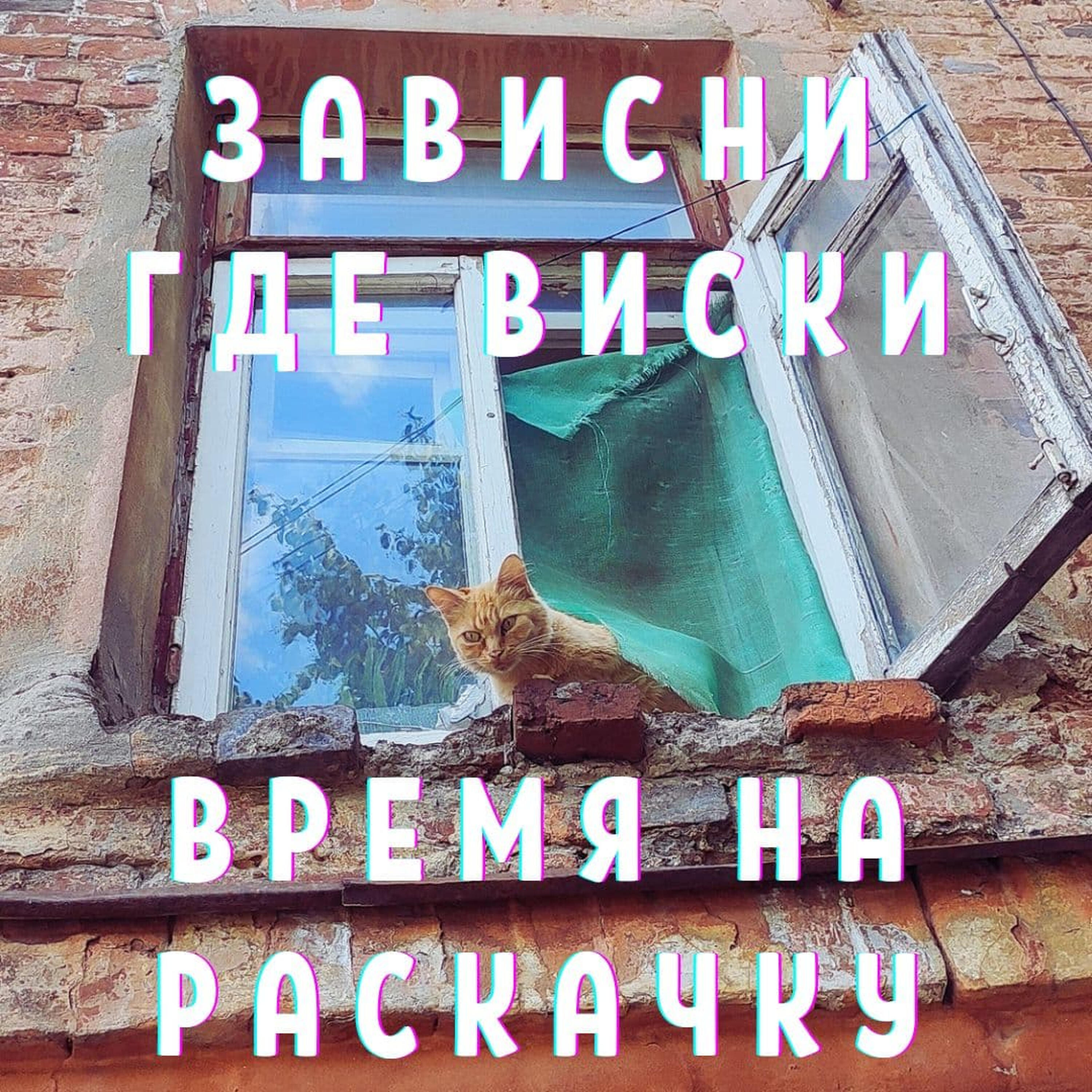 Релиз Зависни где виски