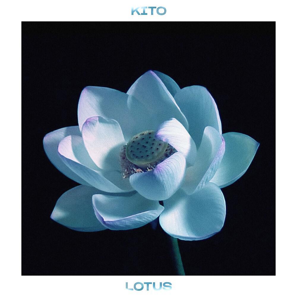 Kito - Lotus