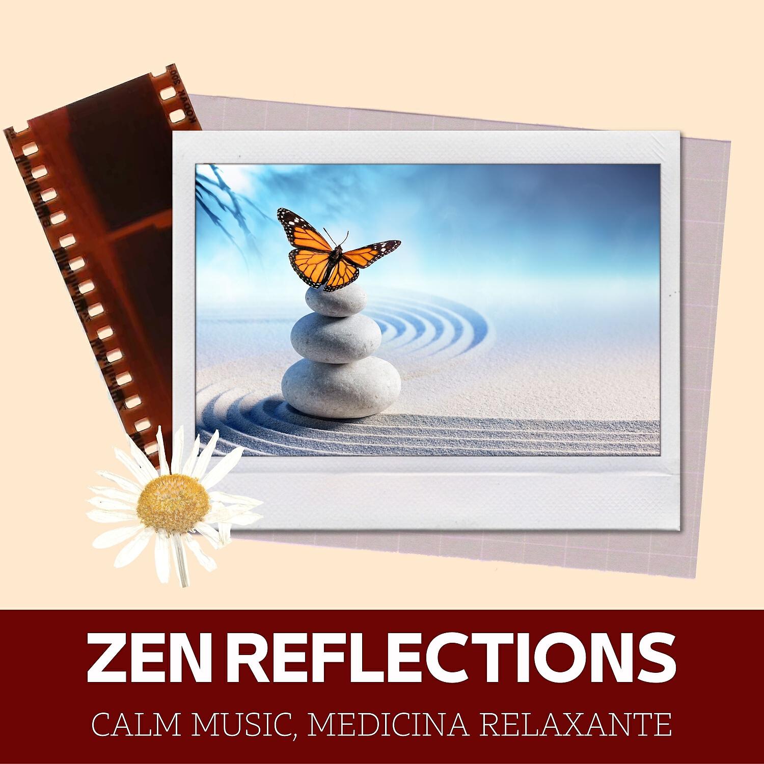 Релиз Zen Reflections
