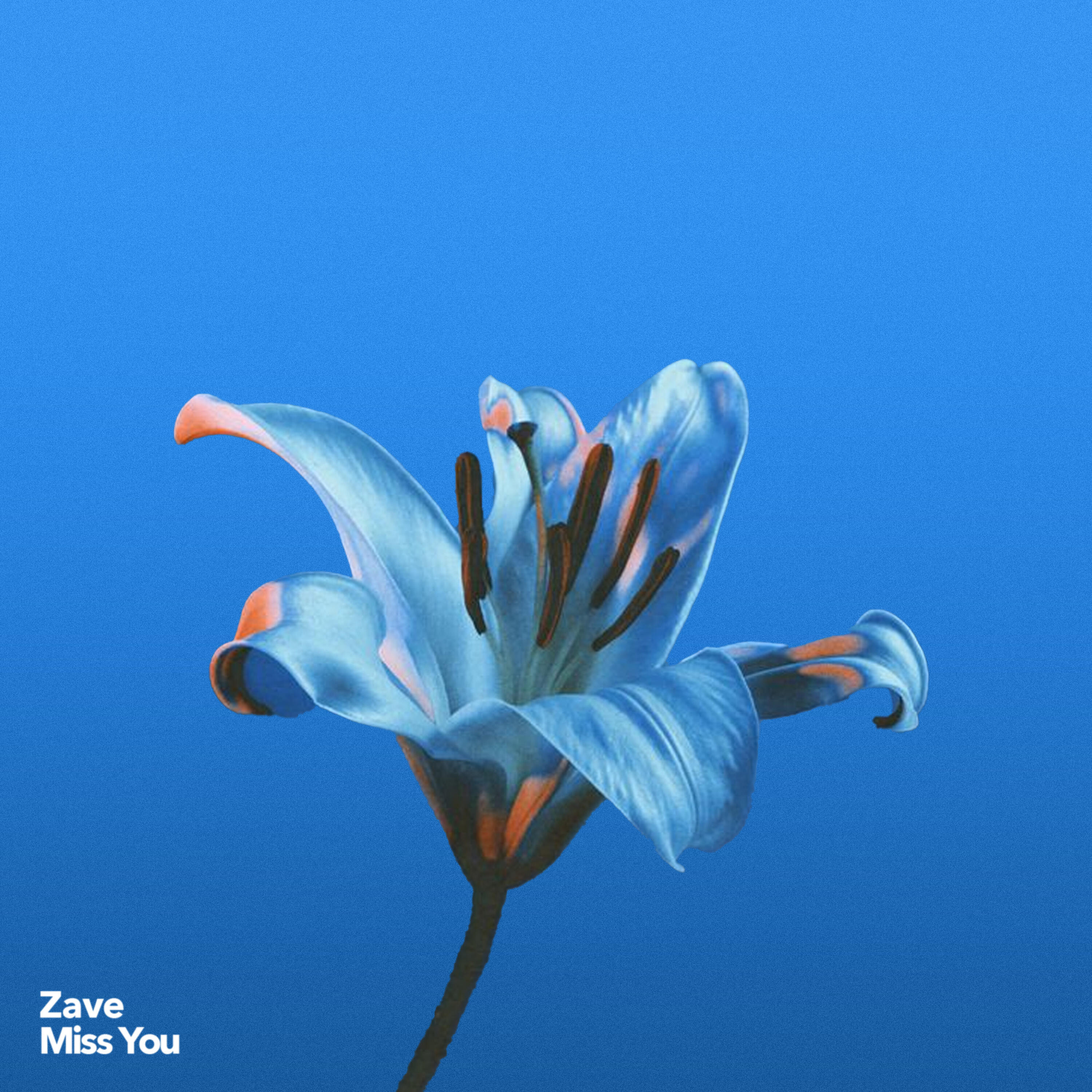Релиз Miss You