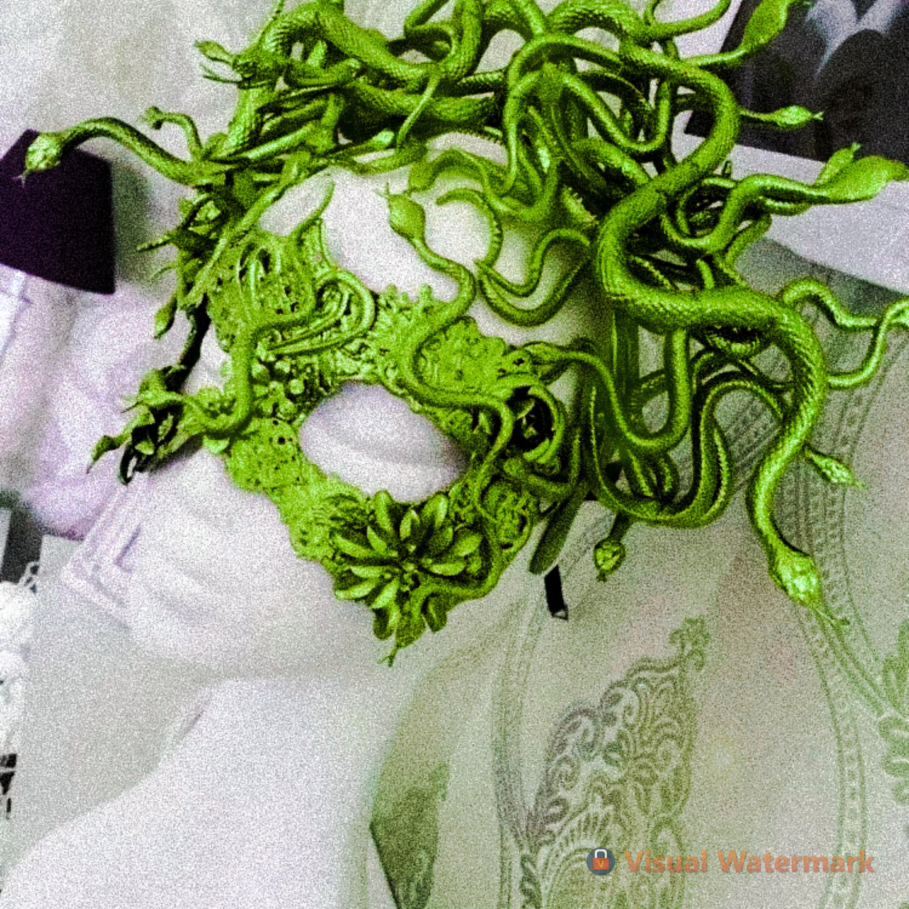 Релиз Medusa