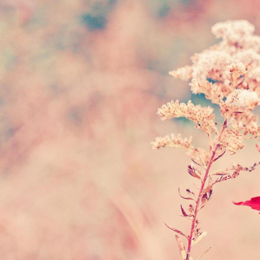 Волна по релизу