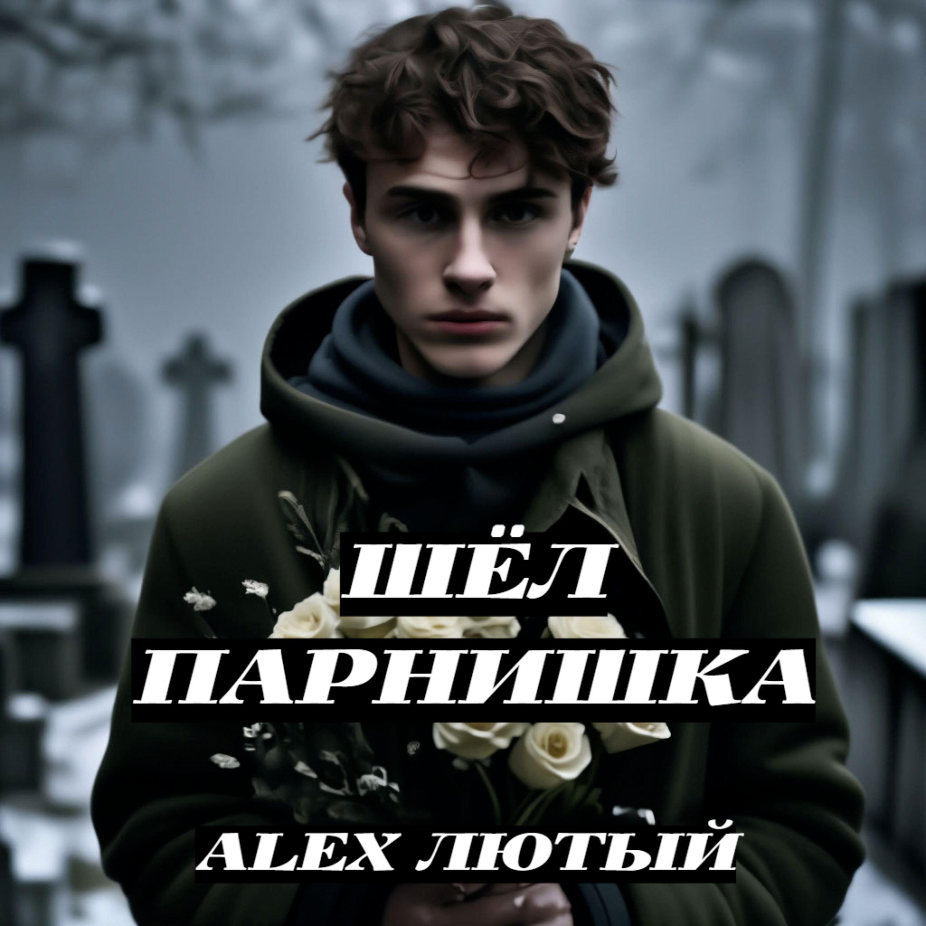 Релиз Шёл парнишка...