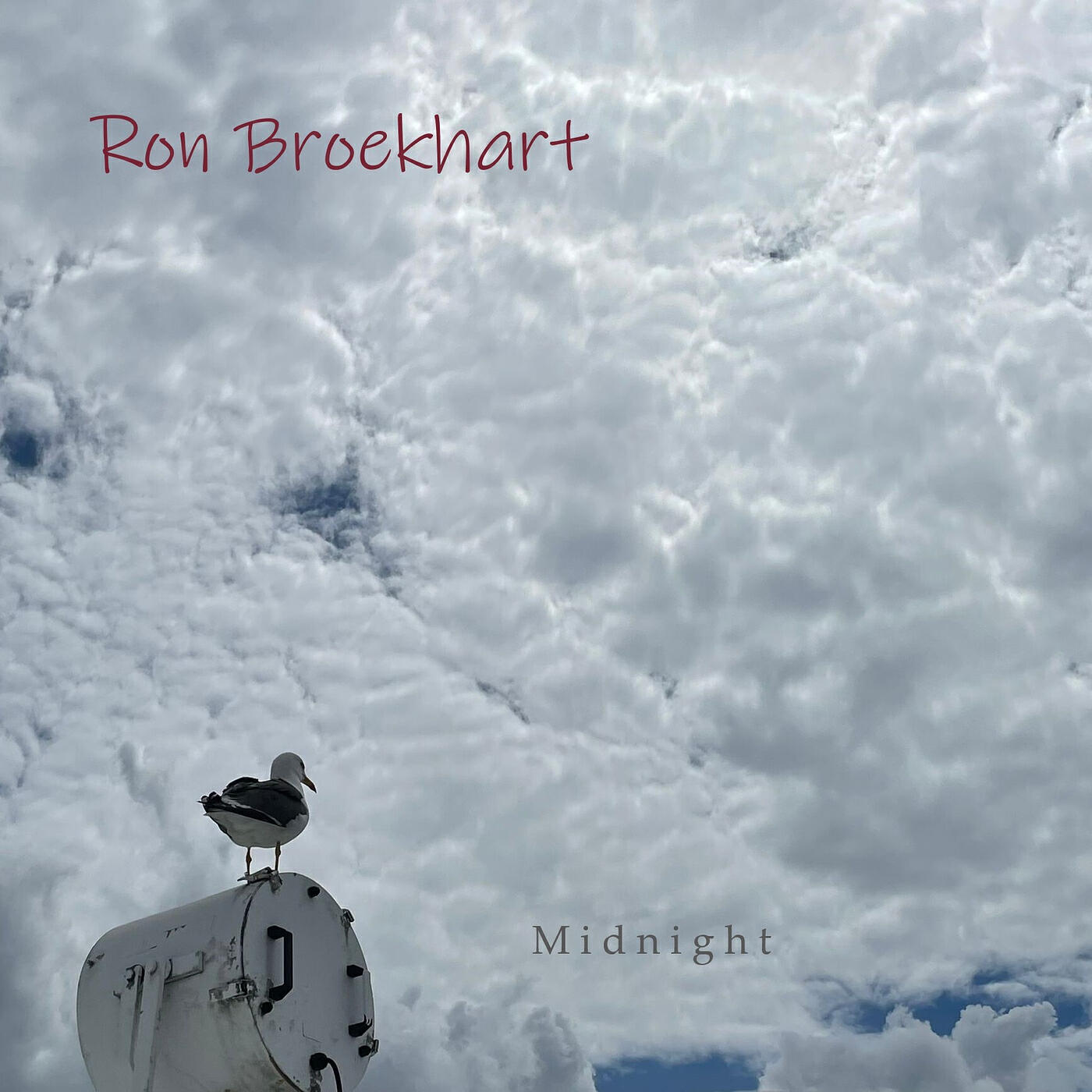 Релиз Midnight