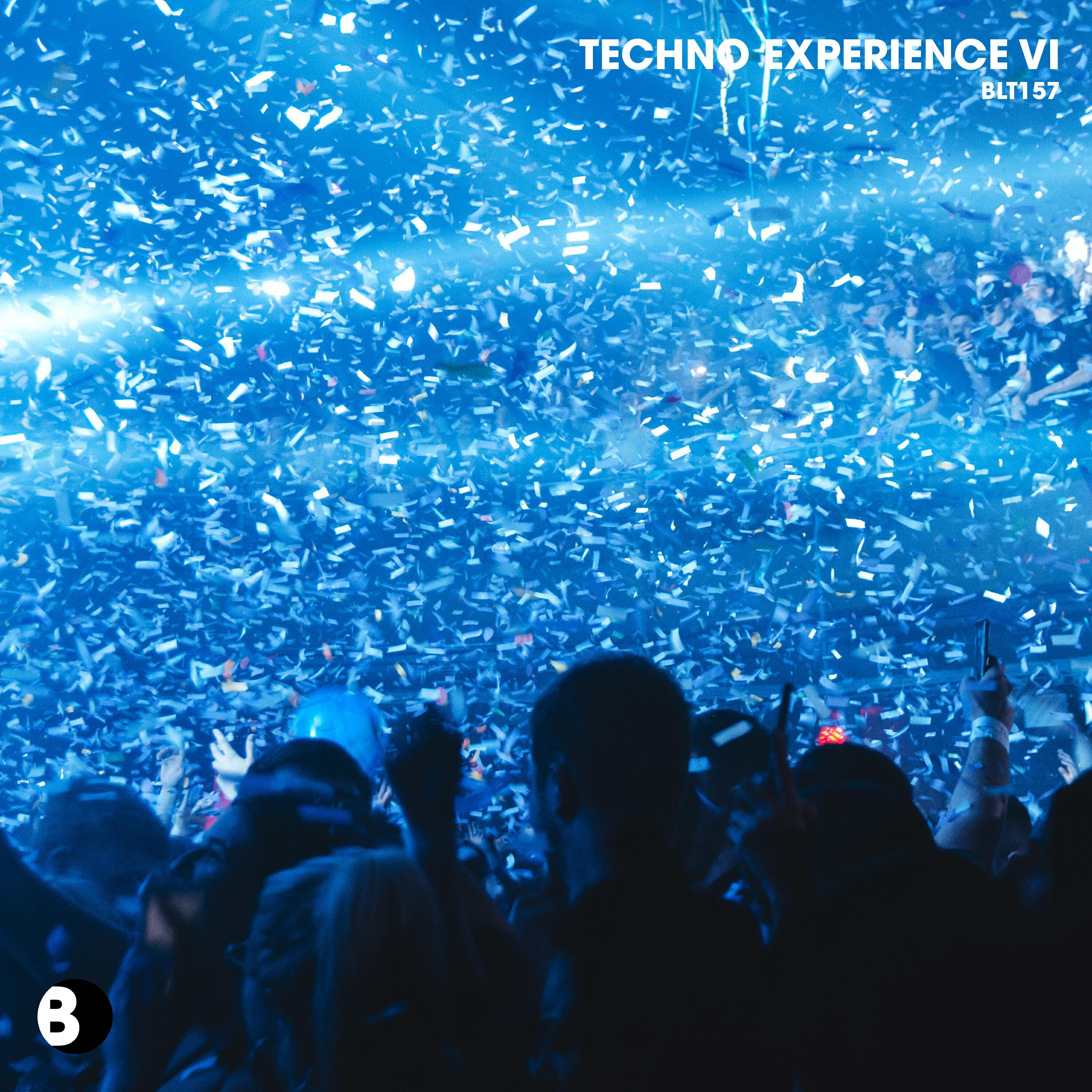 Релиз Techno Experience VI