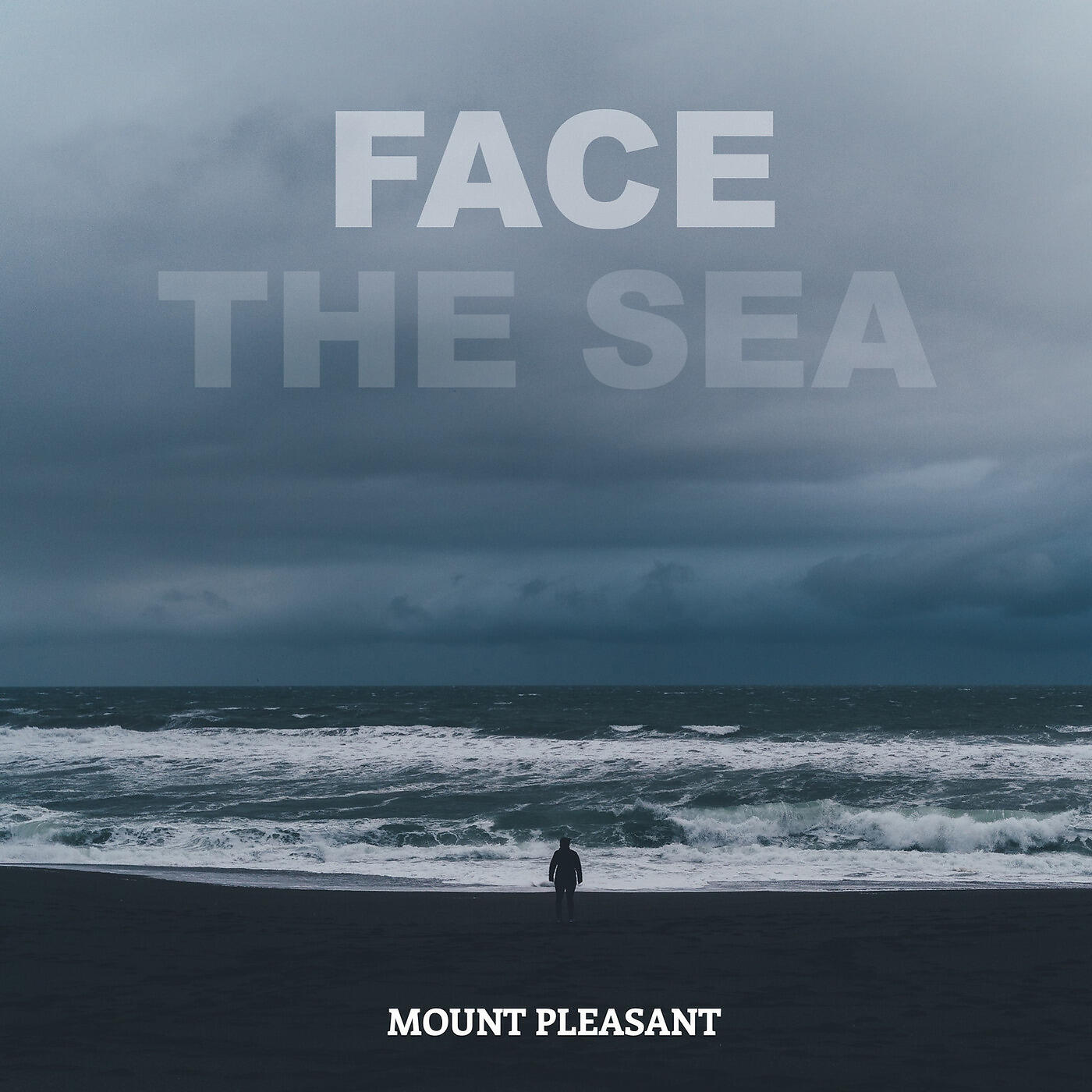 Релиз Face the Sea