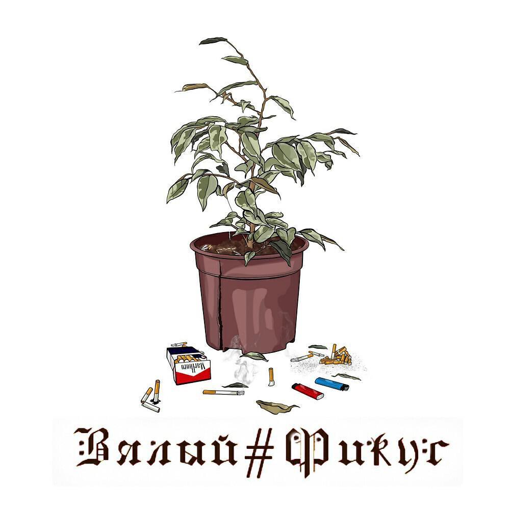 Вялый#Фикус