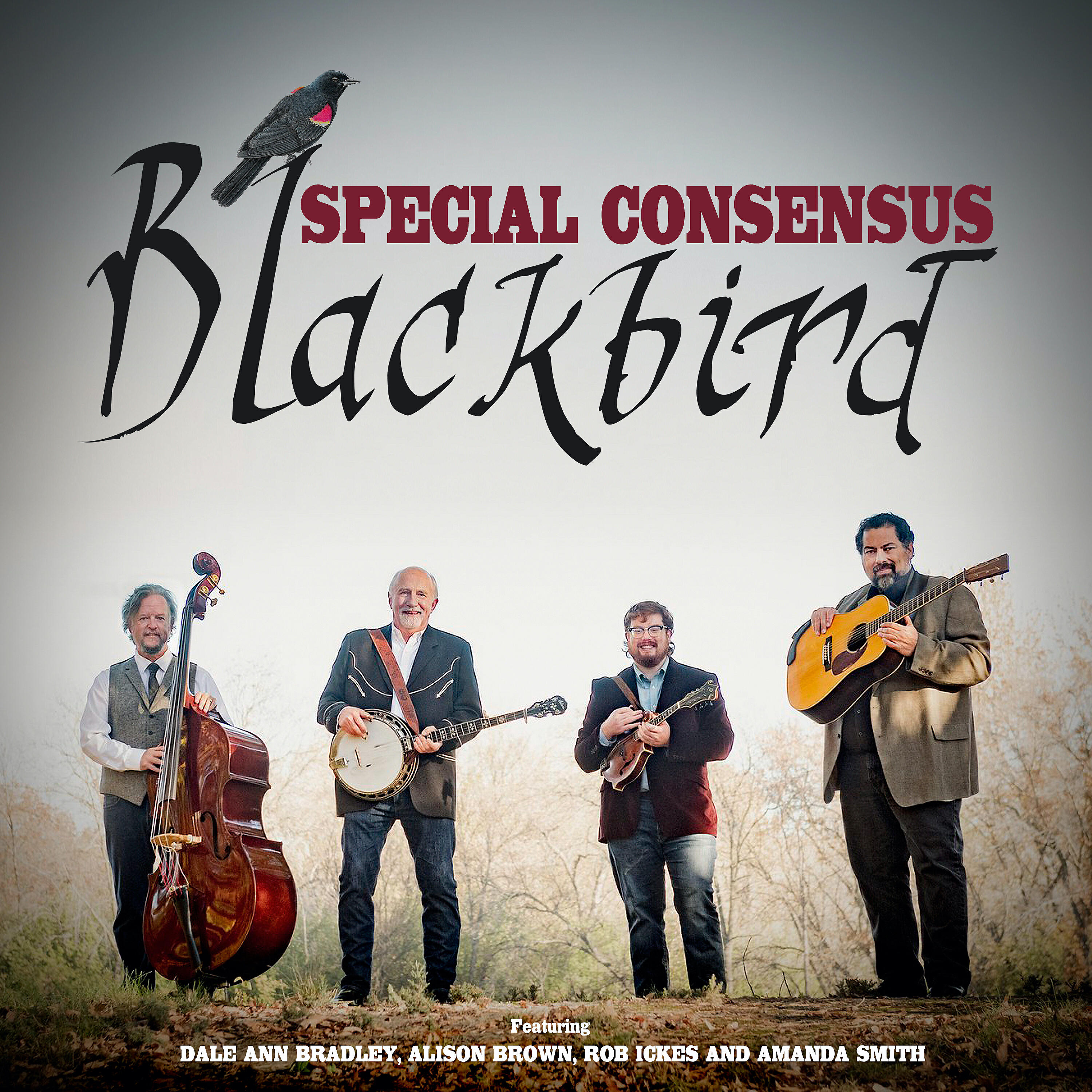 Релиз Blackbird