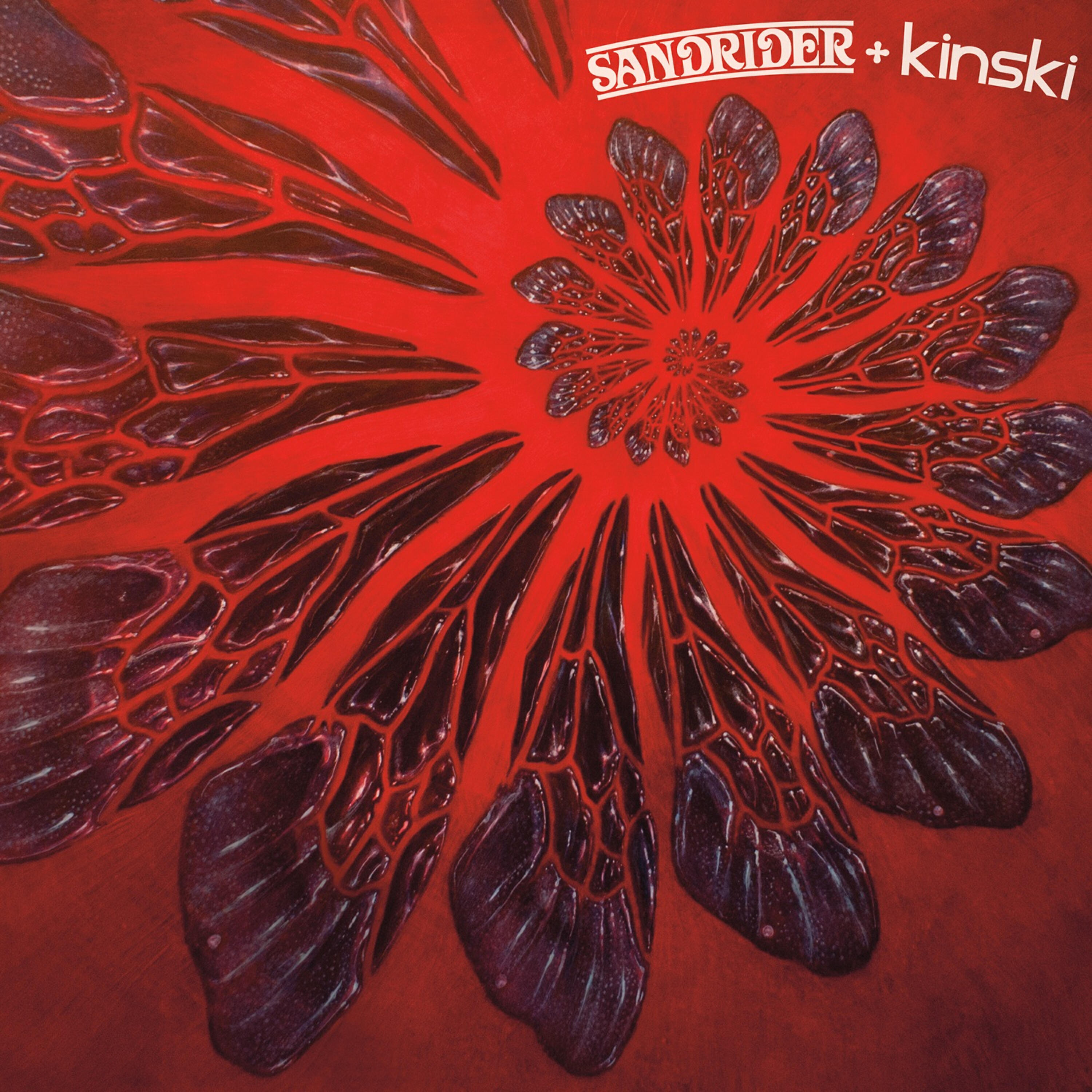 Sandrider