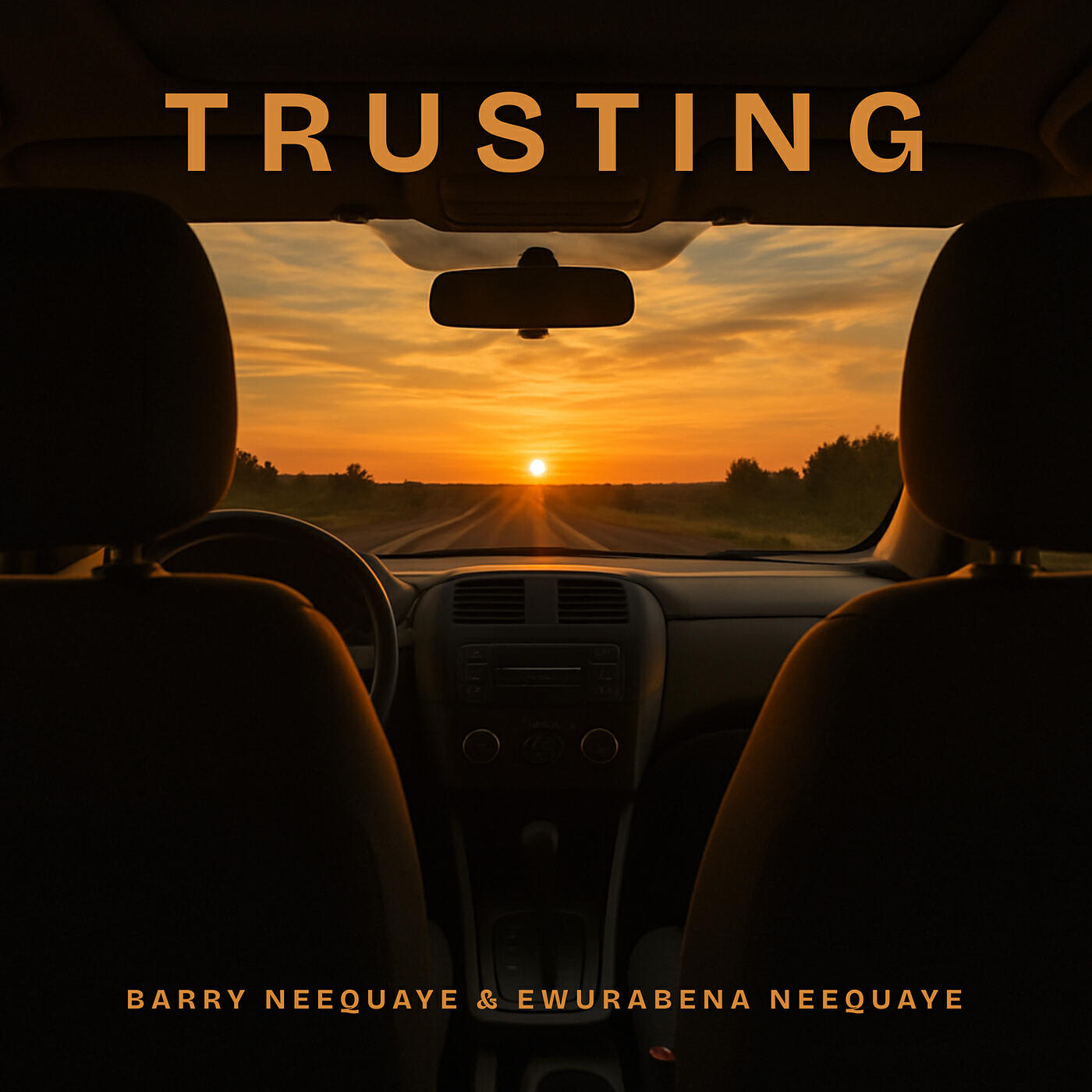 Постер альбома Trusting