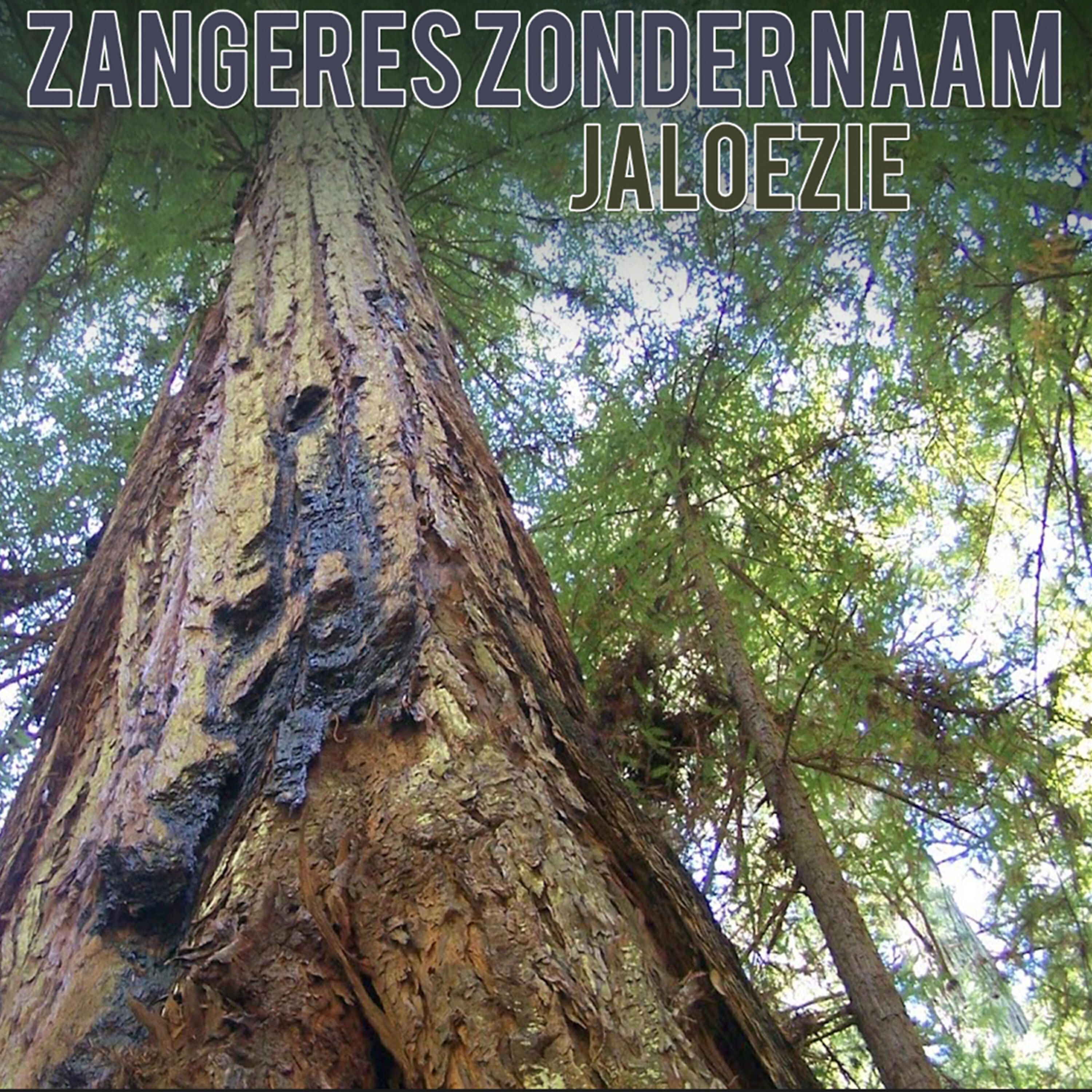 Релиз Jaloezie