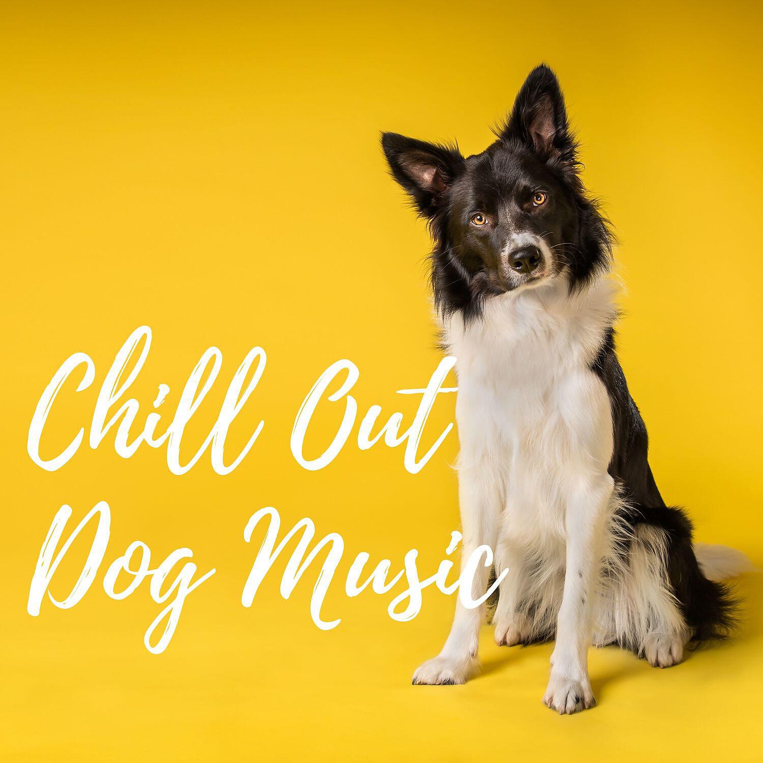 Релиз Chill Out Dog Music