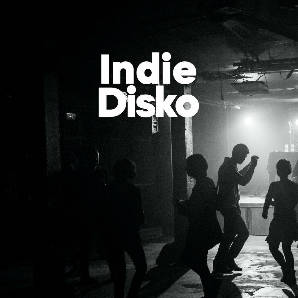 Релиз Indie Disko
