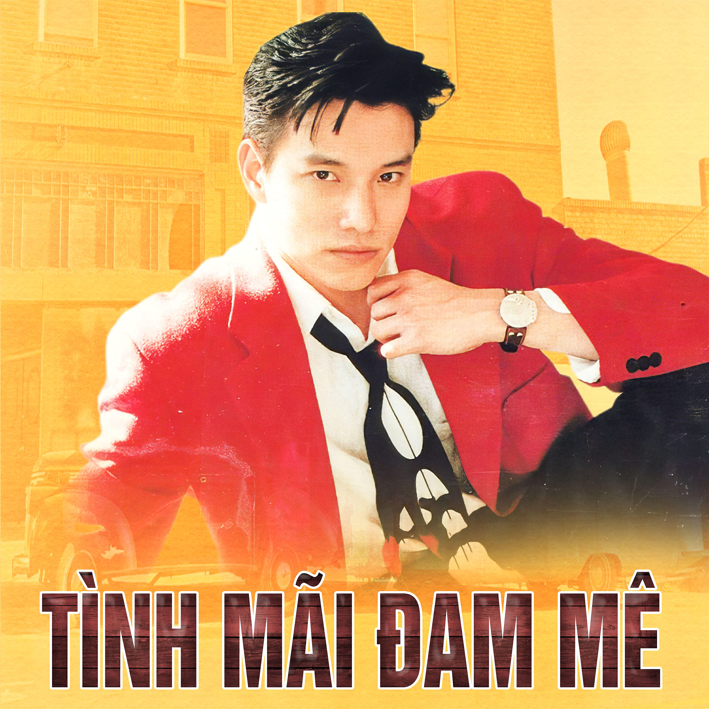 Релиз Tình mãi đam mê