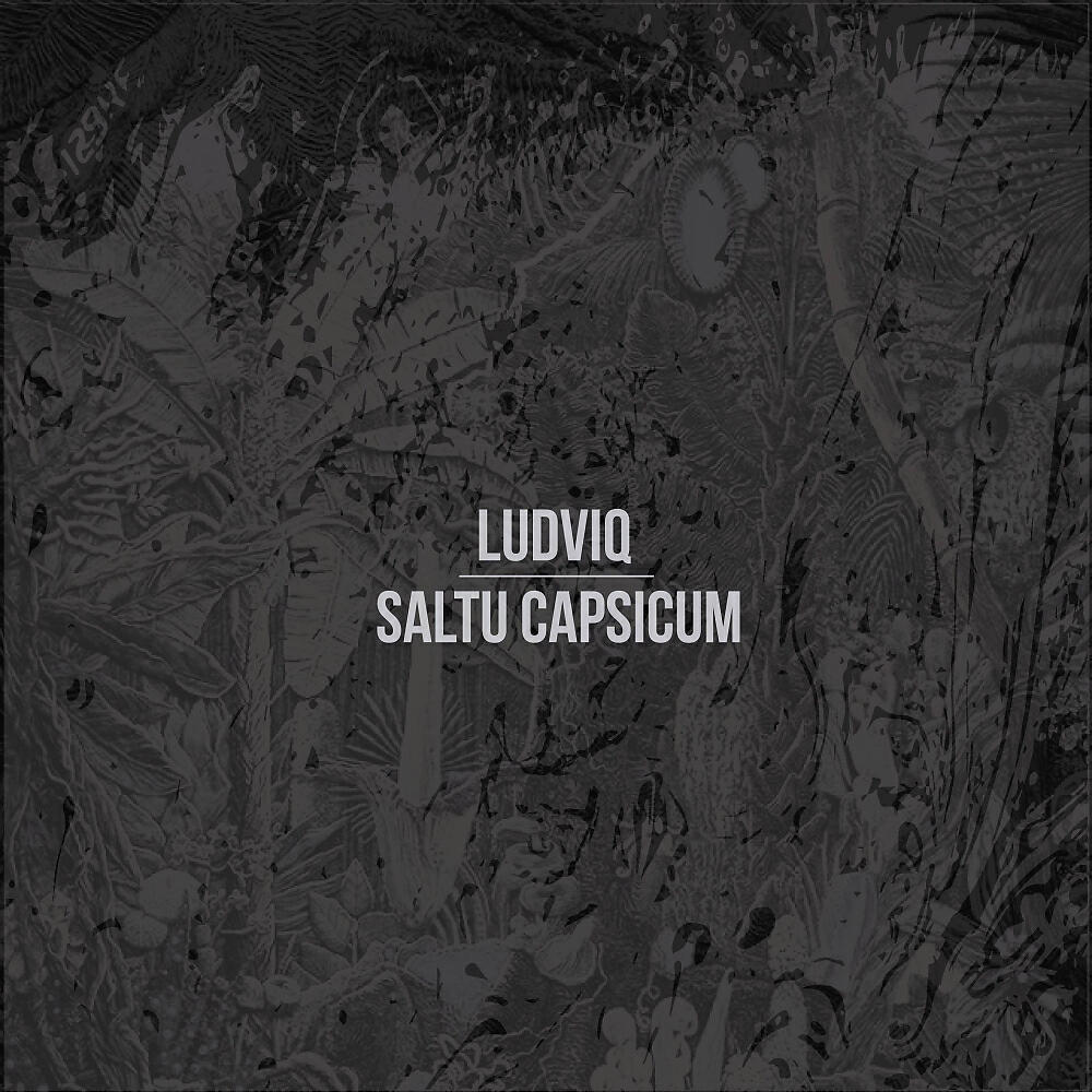 Скачать песню Ludviq - Udhëtim бесплатно в MP3 для Android и iOS
