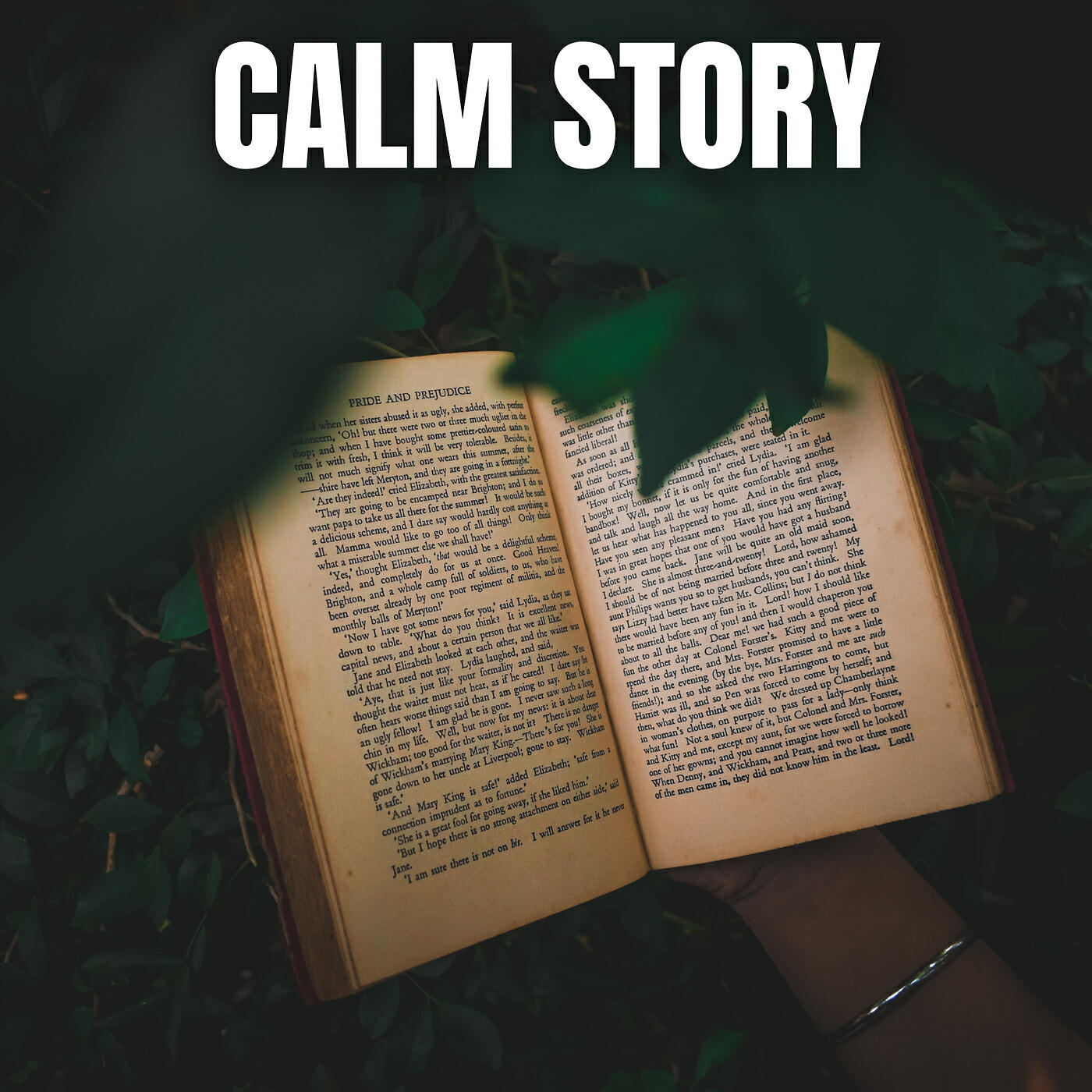 Релиз Calm Story