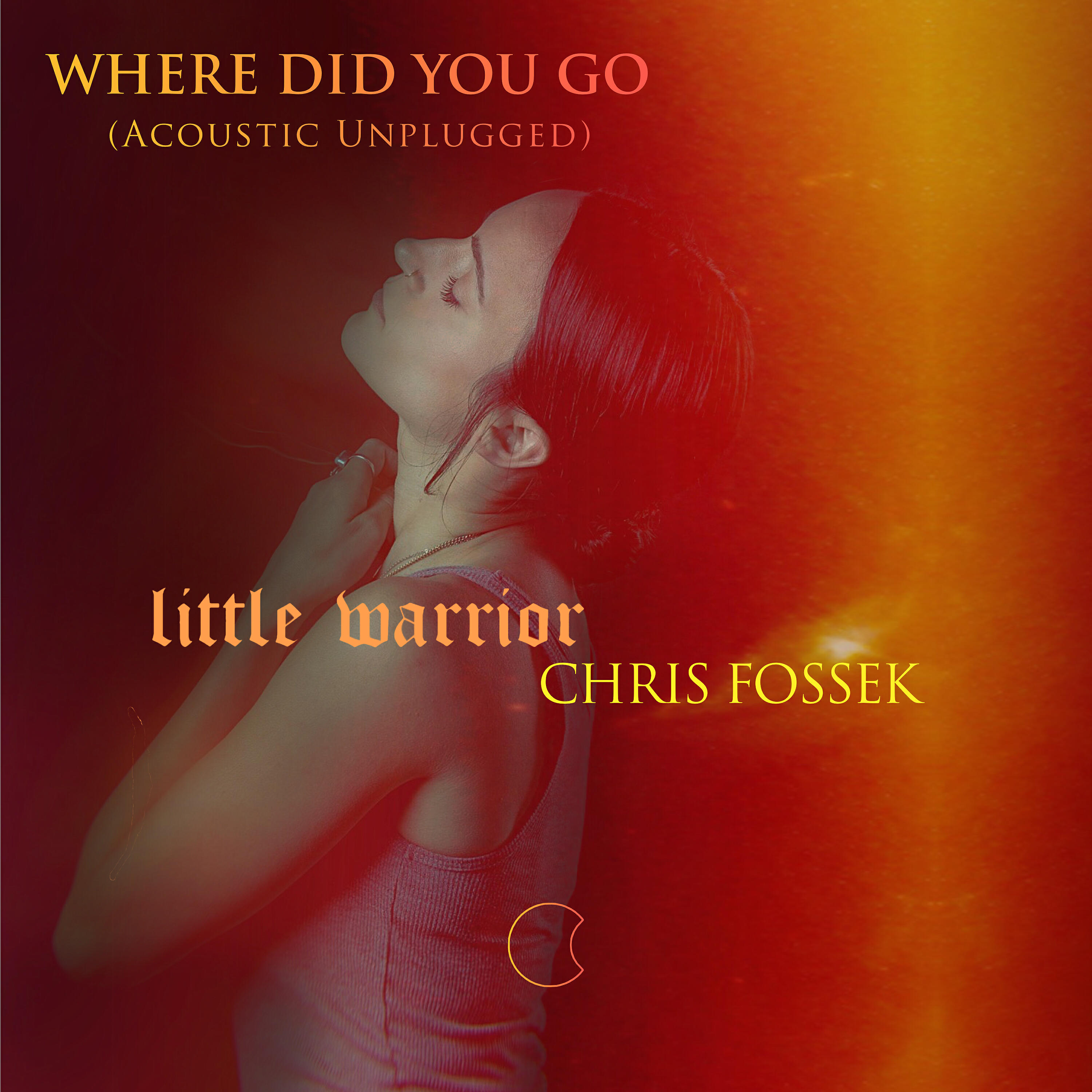 Релиз Where Did You Go (Acoustic Unplugged)
