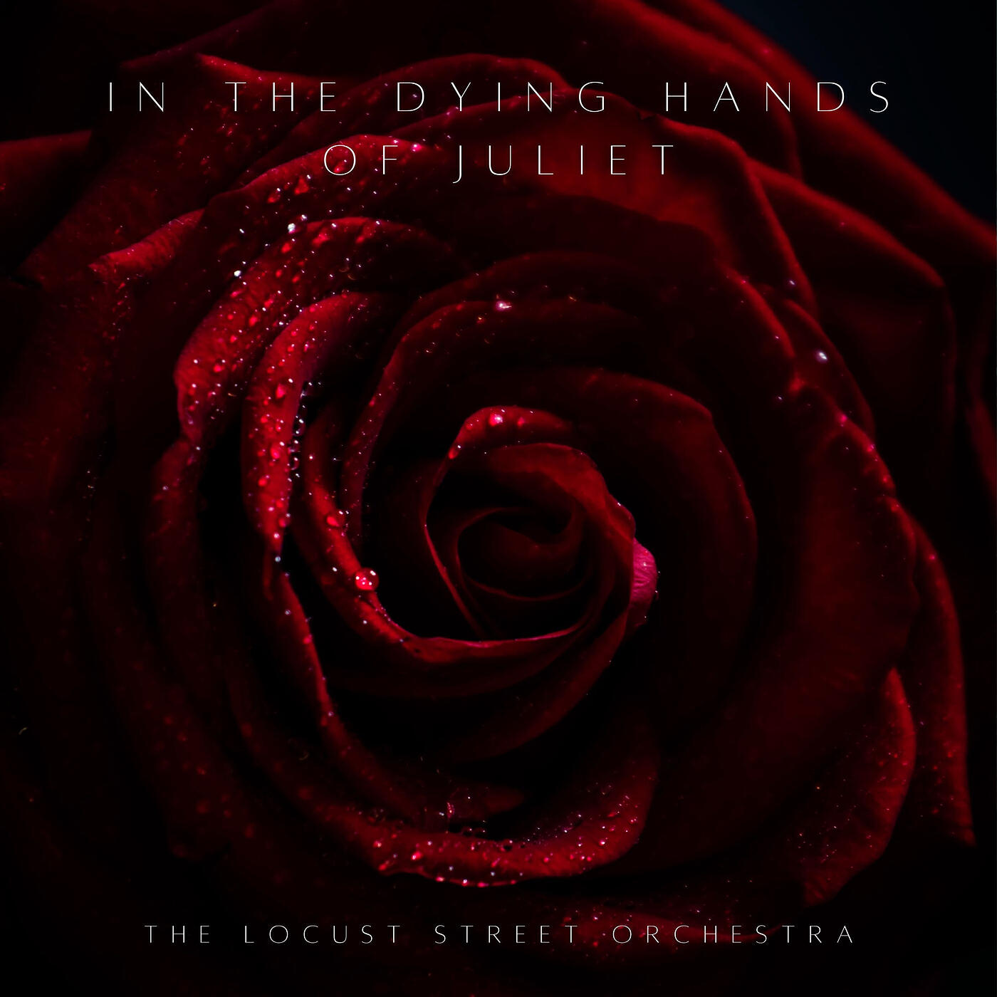 Релиз In the Dying Hands of Juliet