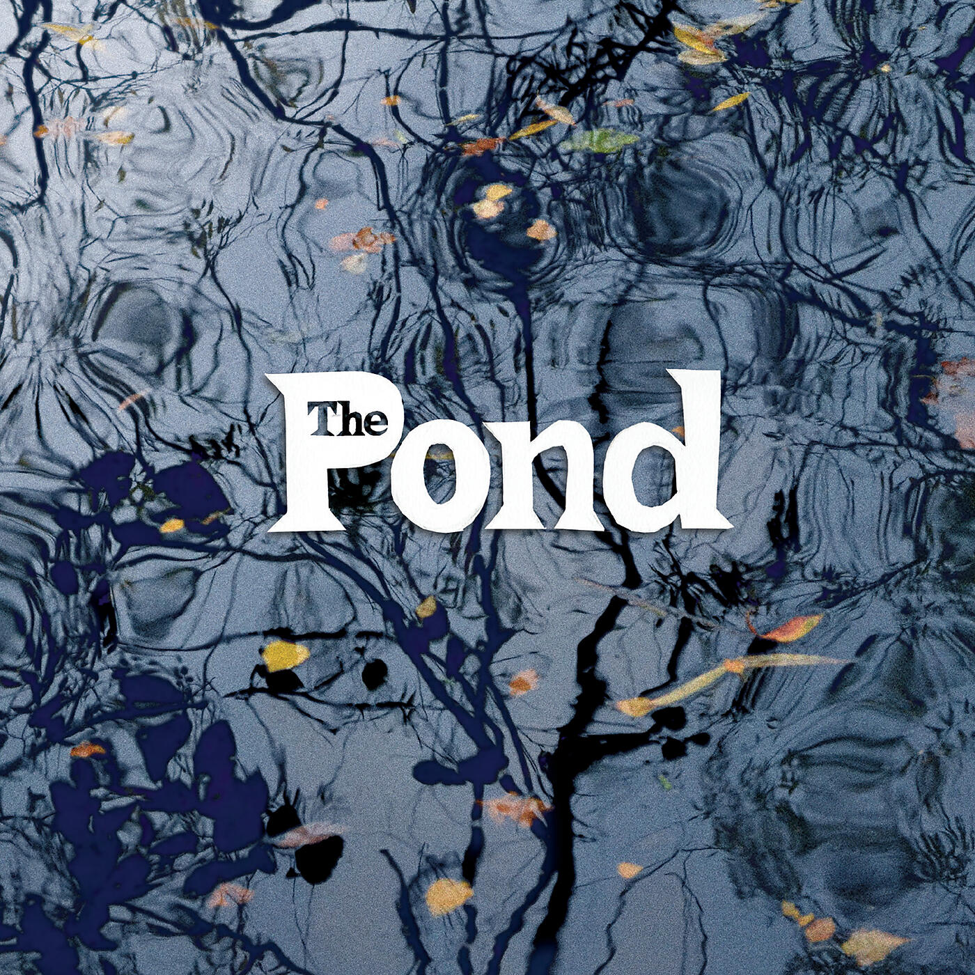 Pond - Pass Us By