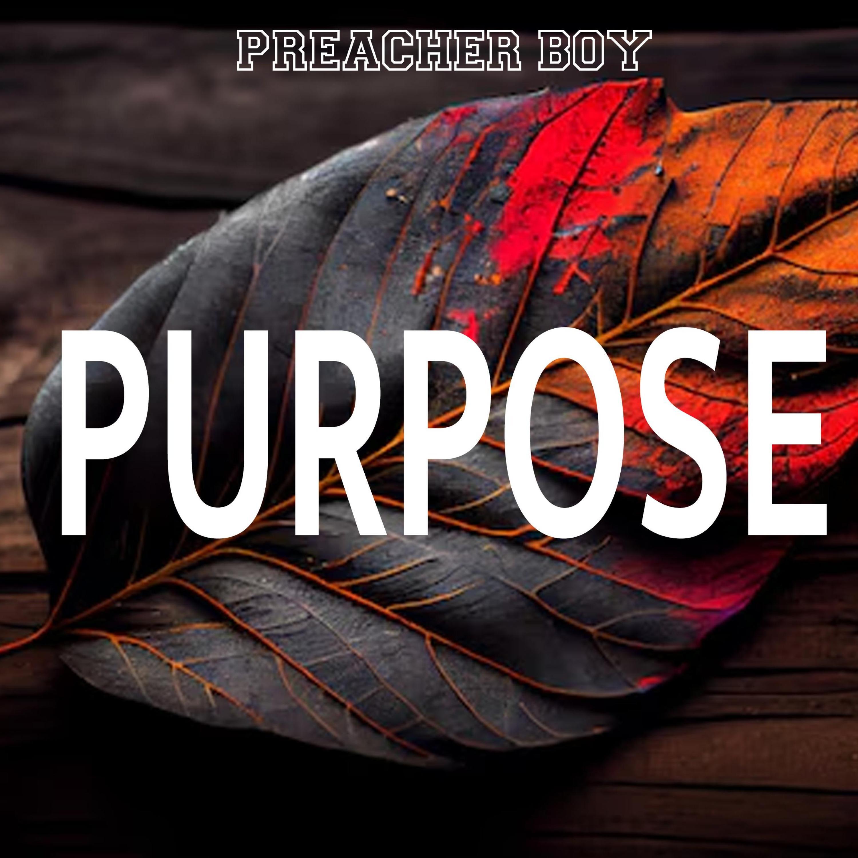 Релиз Purpose (D&B mix)