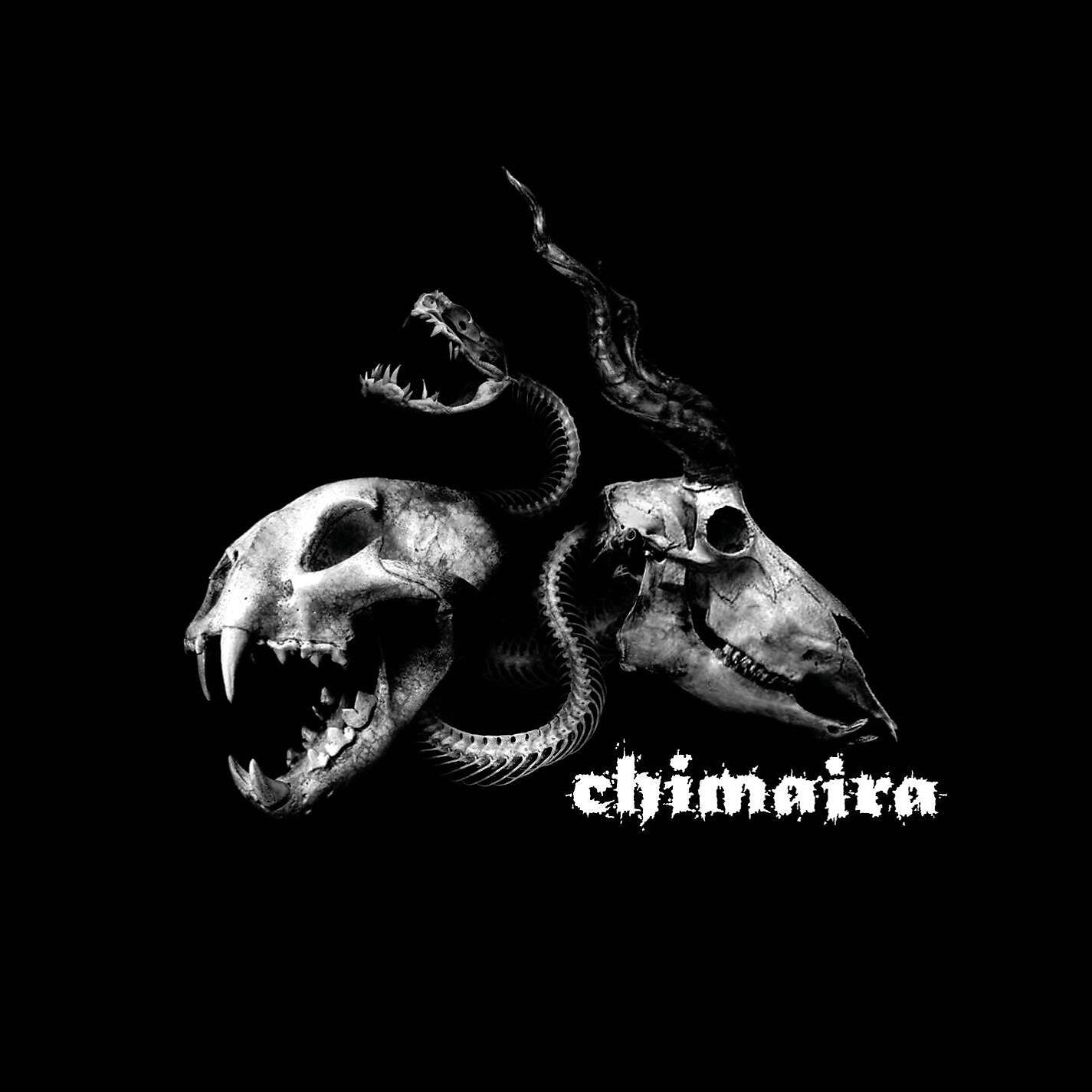 Релиз Chimaira