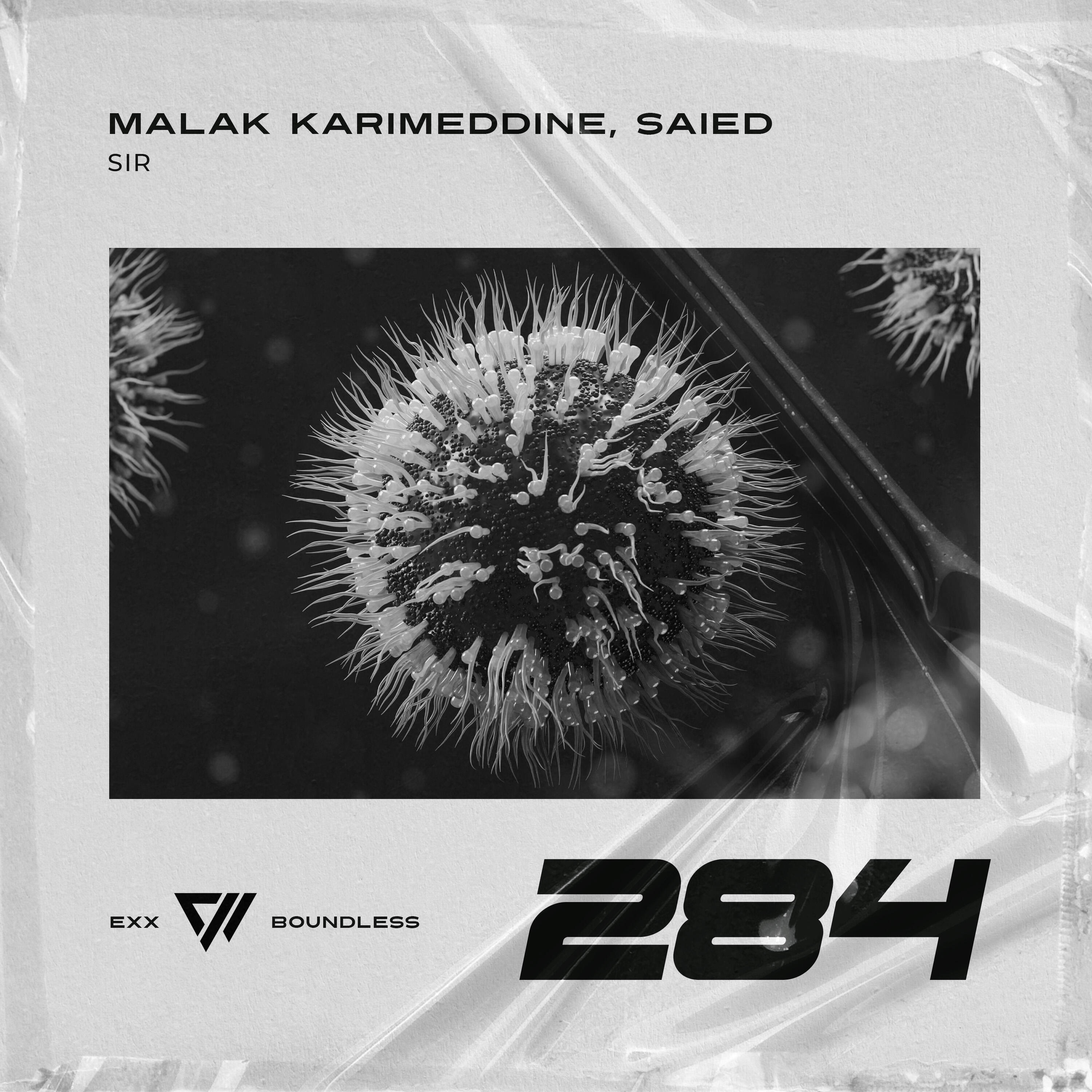 Malak Karimeddine