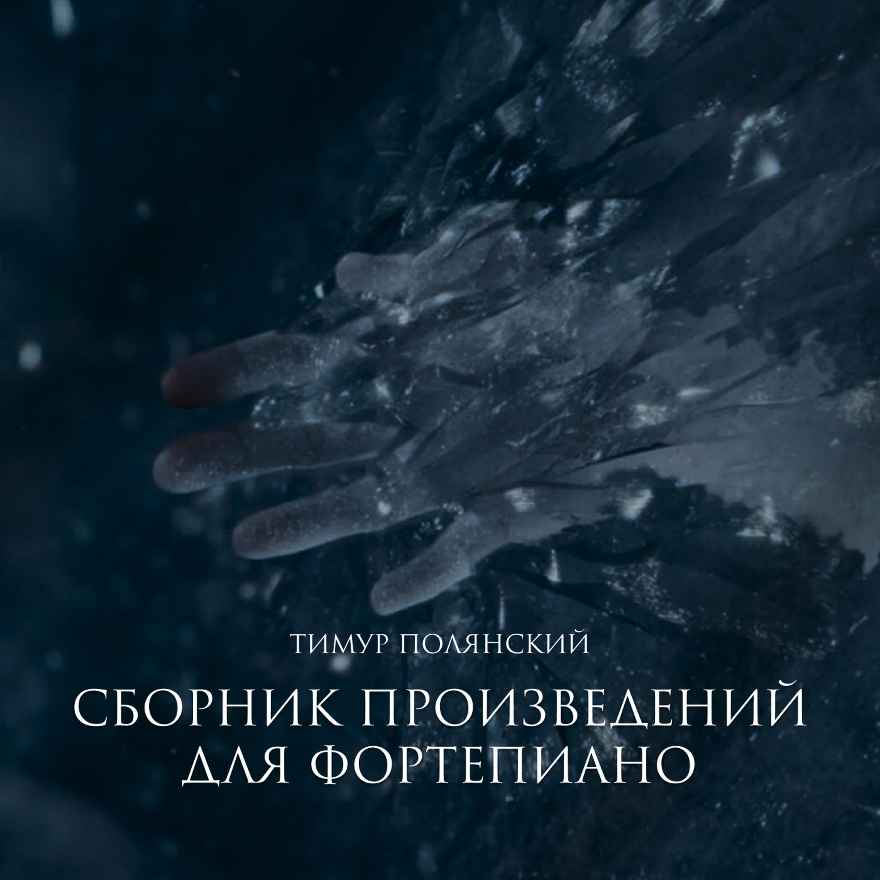 Тимур Полянский