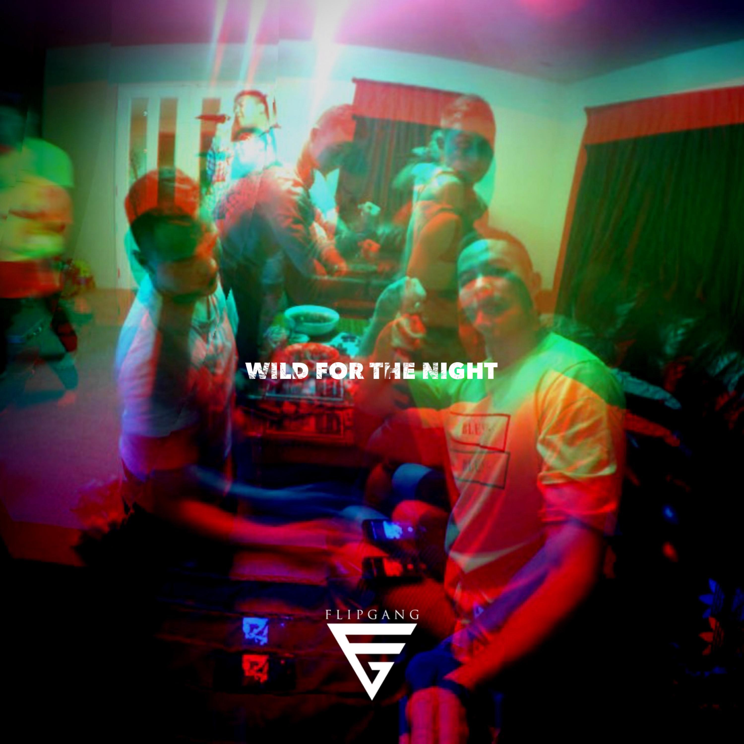 Релиз Wild for the Night