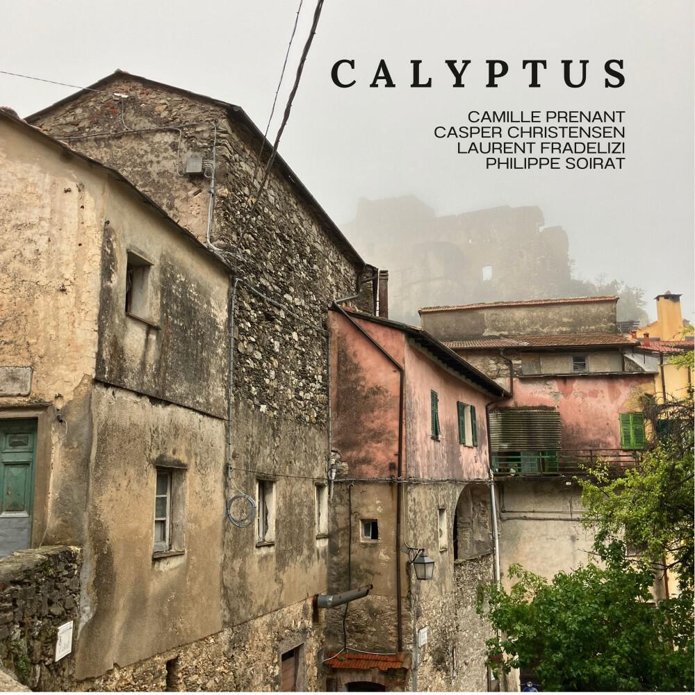 Релиз Calyptus