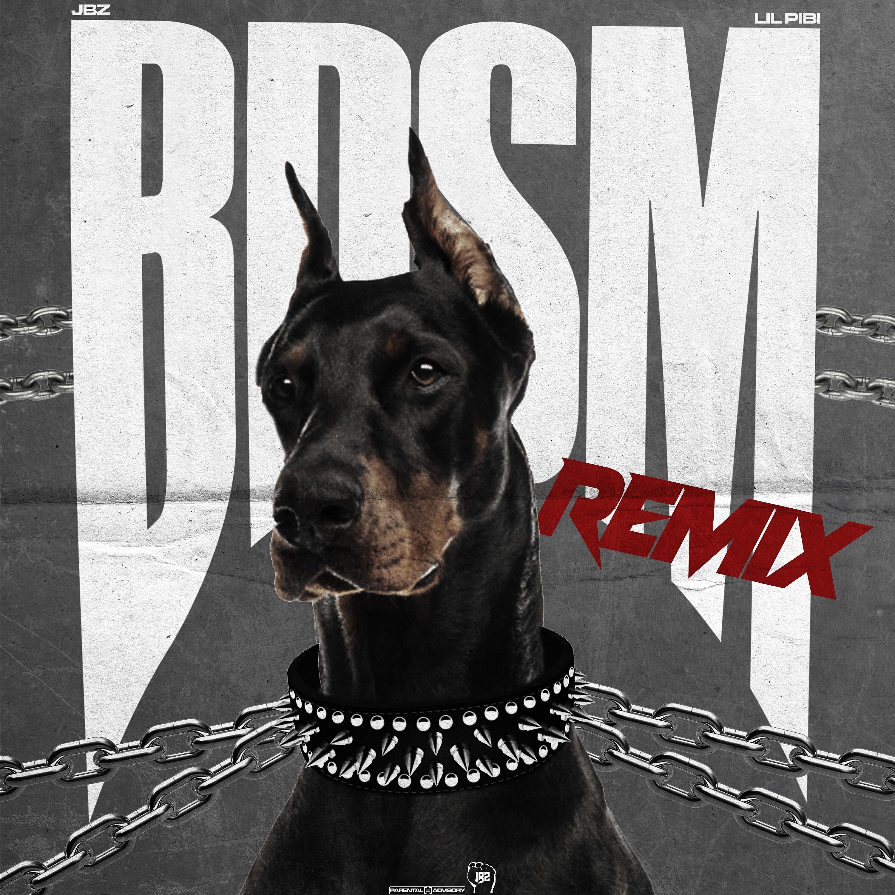Релиз B.D.S.M. (Remix)