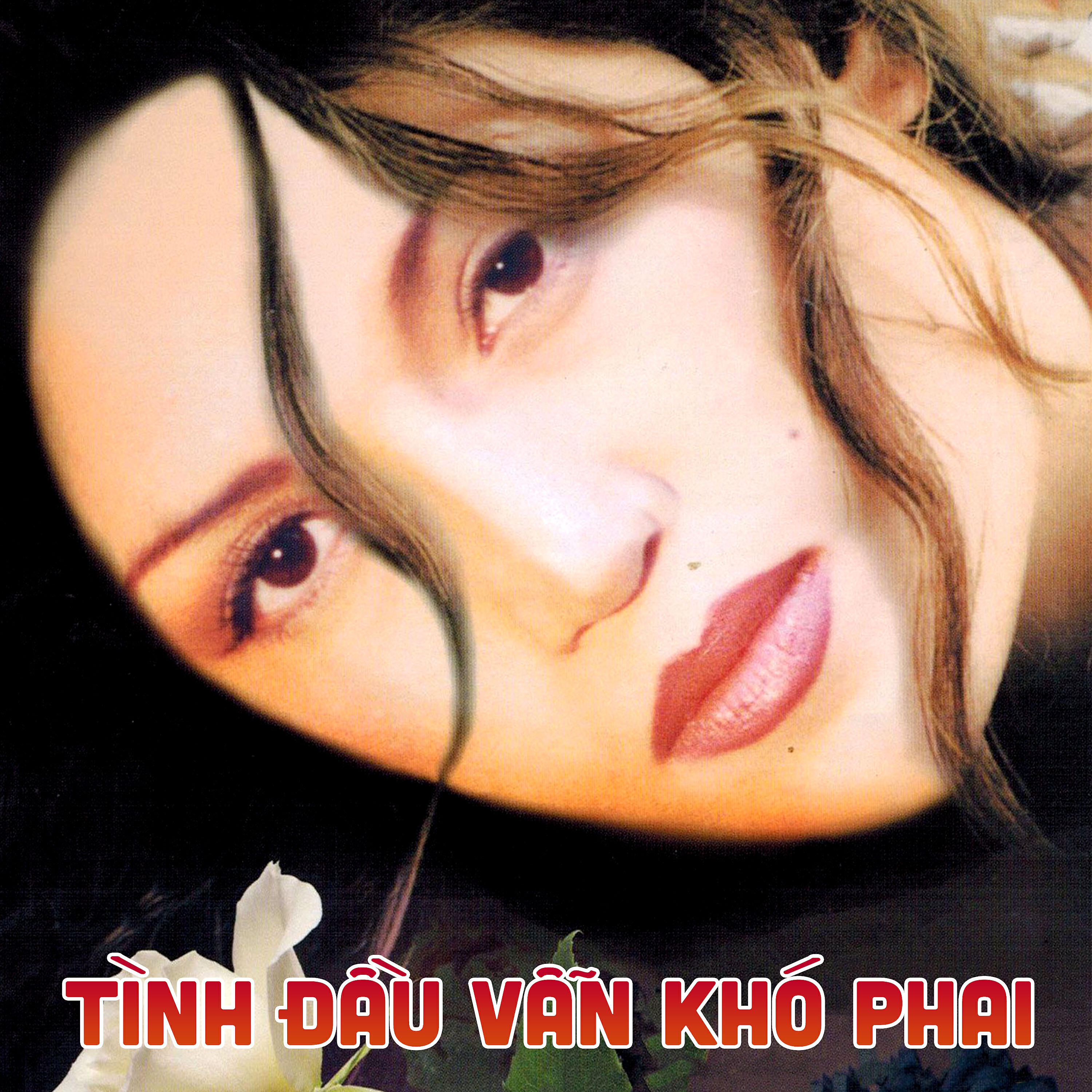 Постер альбома Tình Đầu Vẫn Khó Phai