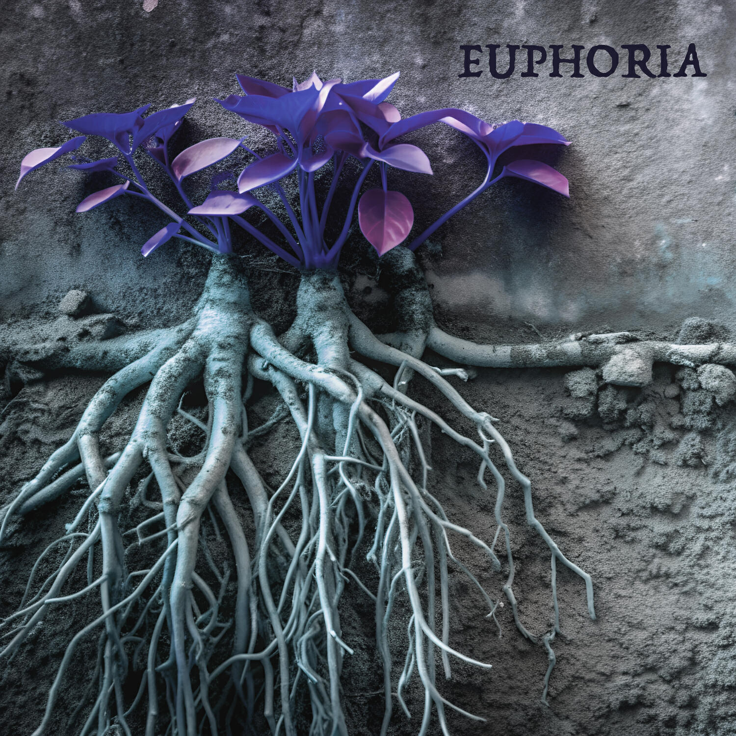 Релиз Euphoria