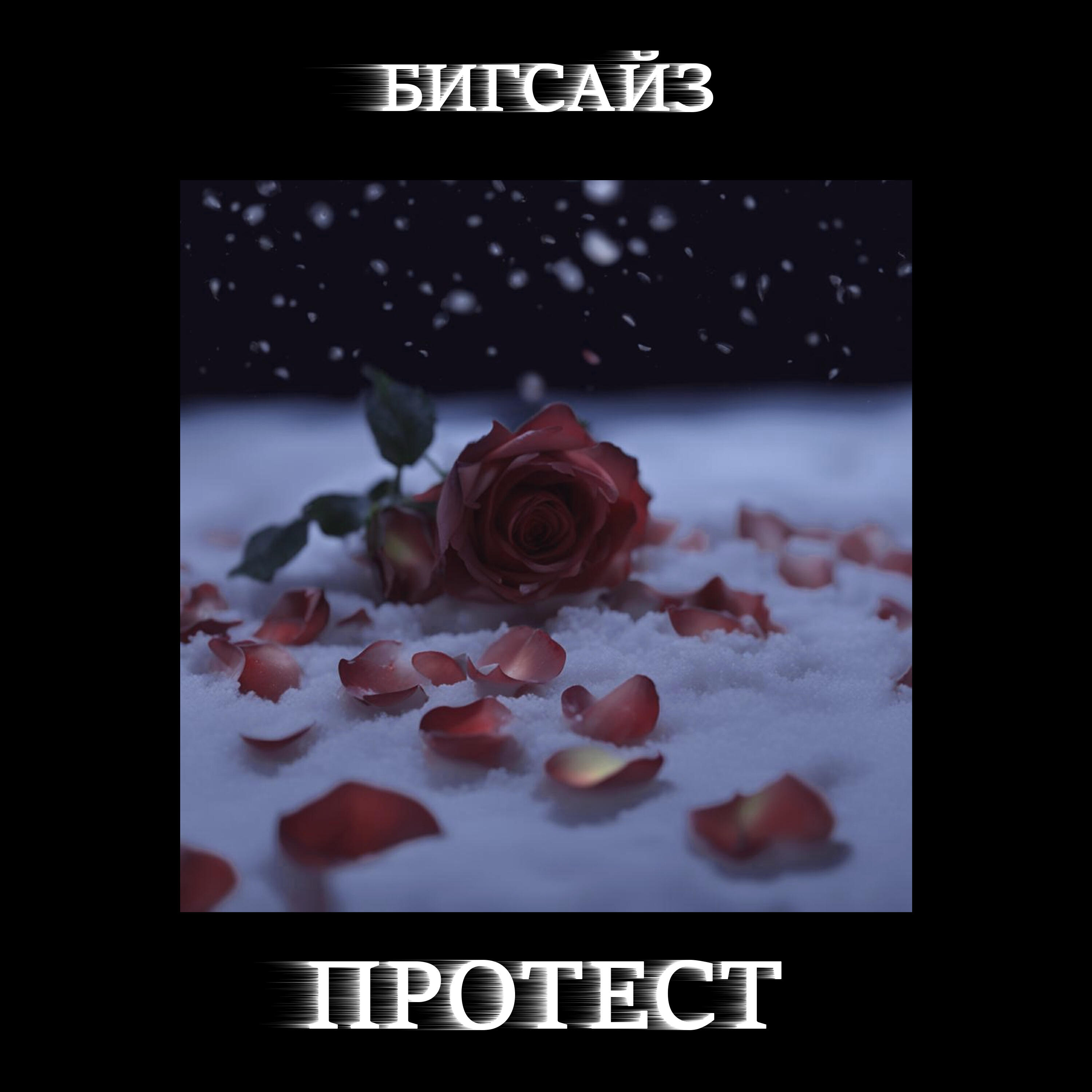 Релиз Протест