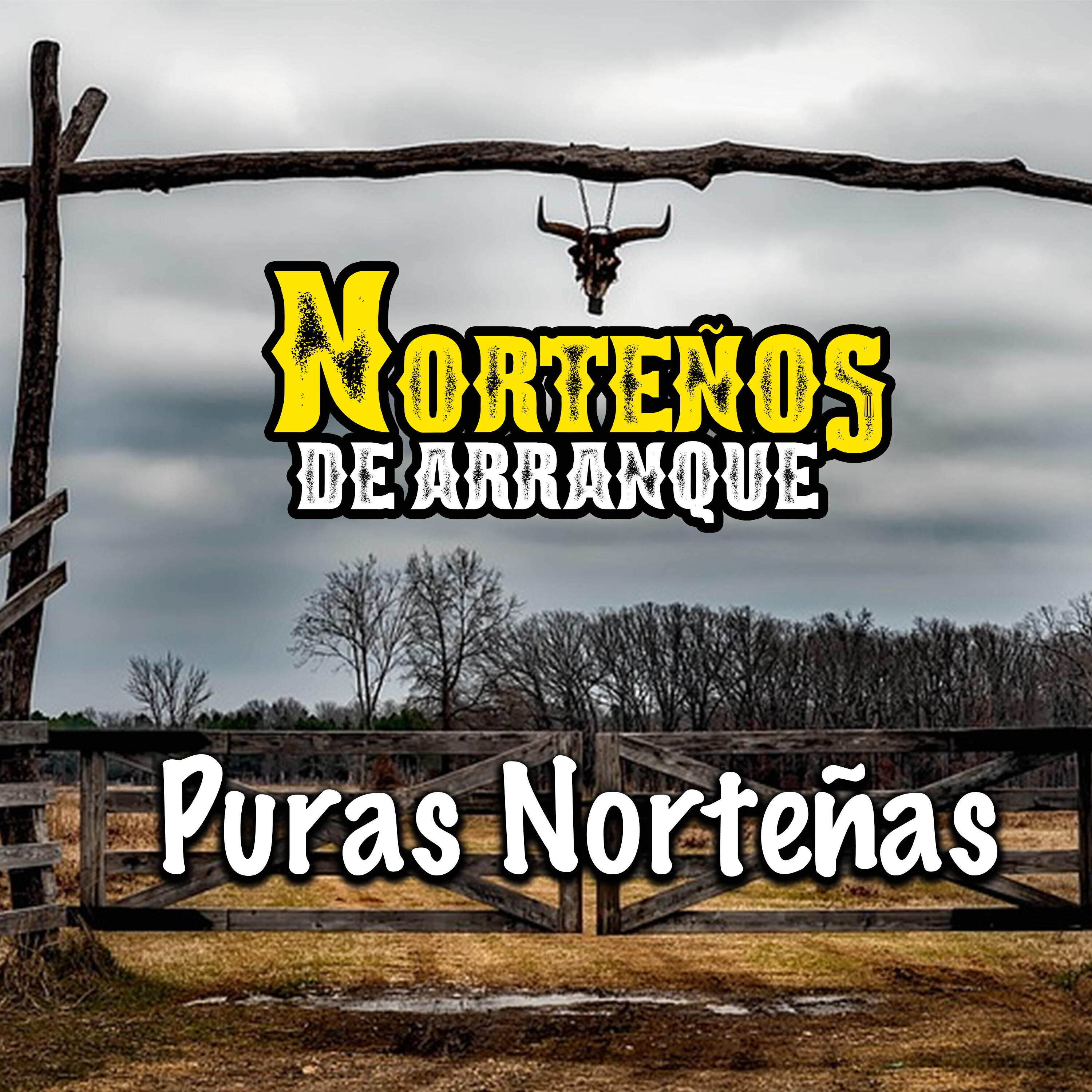 Nortenos De Arranque