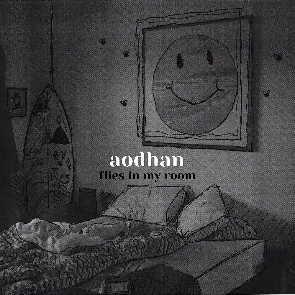 Релиз Flies In My Room