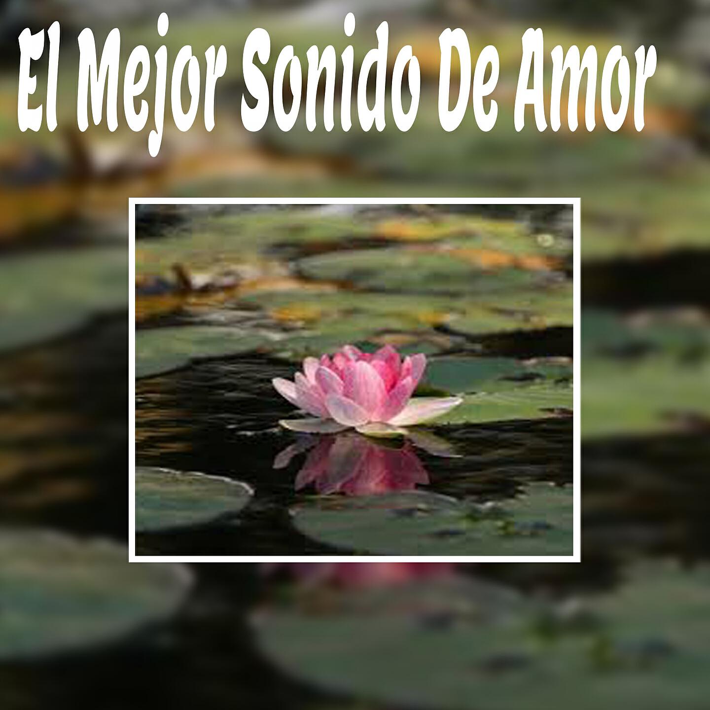 Sonido Para El Amor