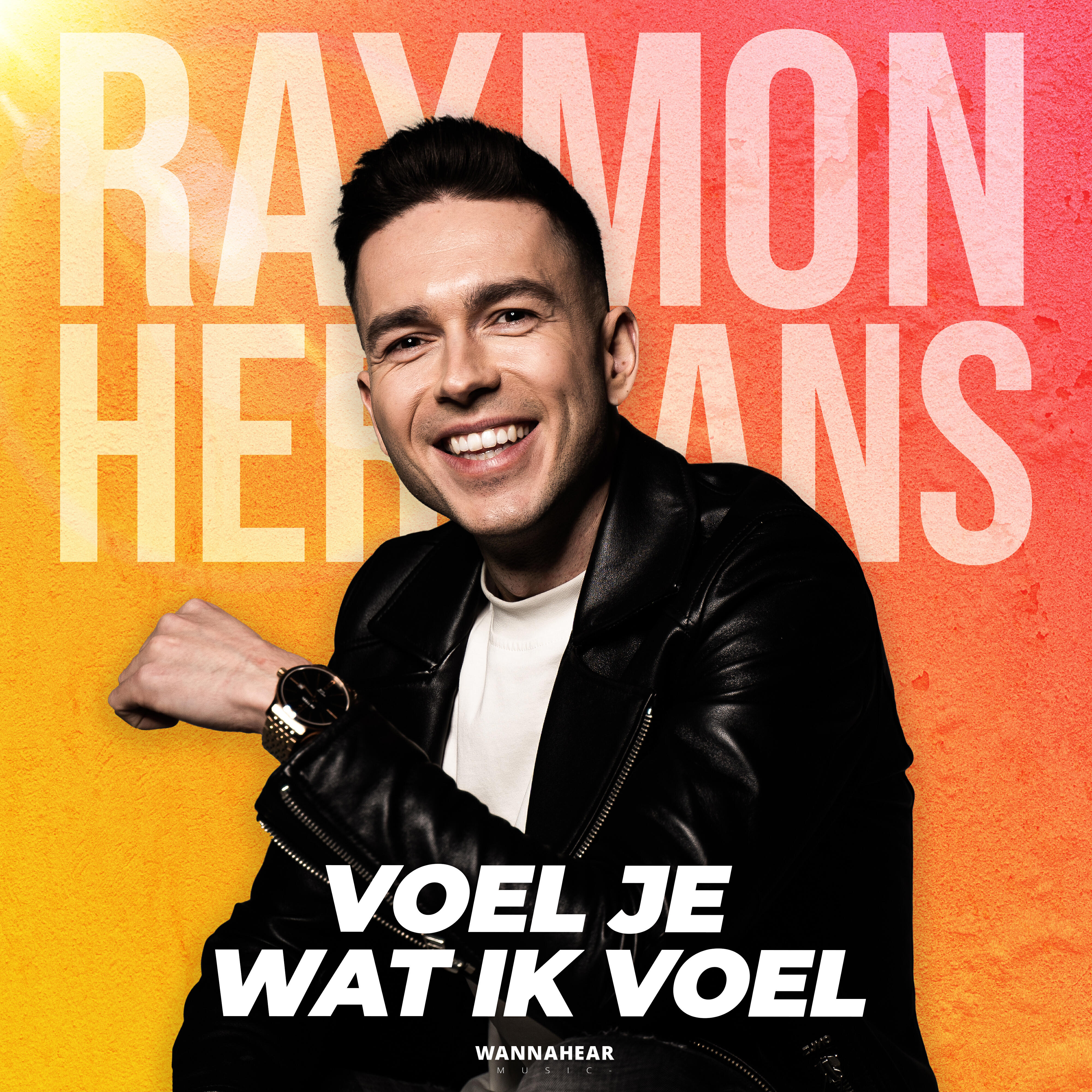 Релиз Voel Je Wat Ik Voel